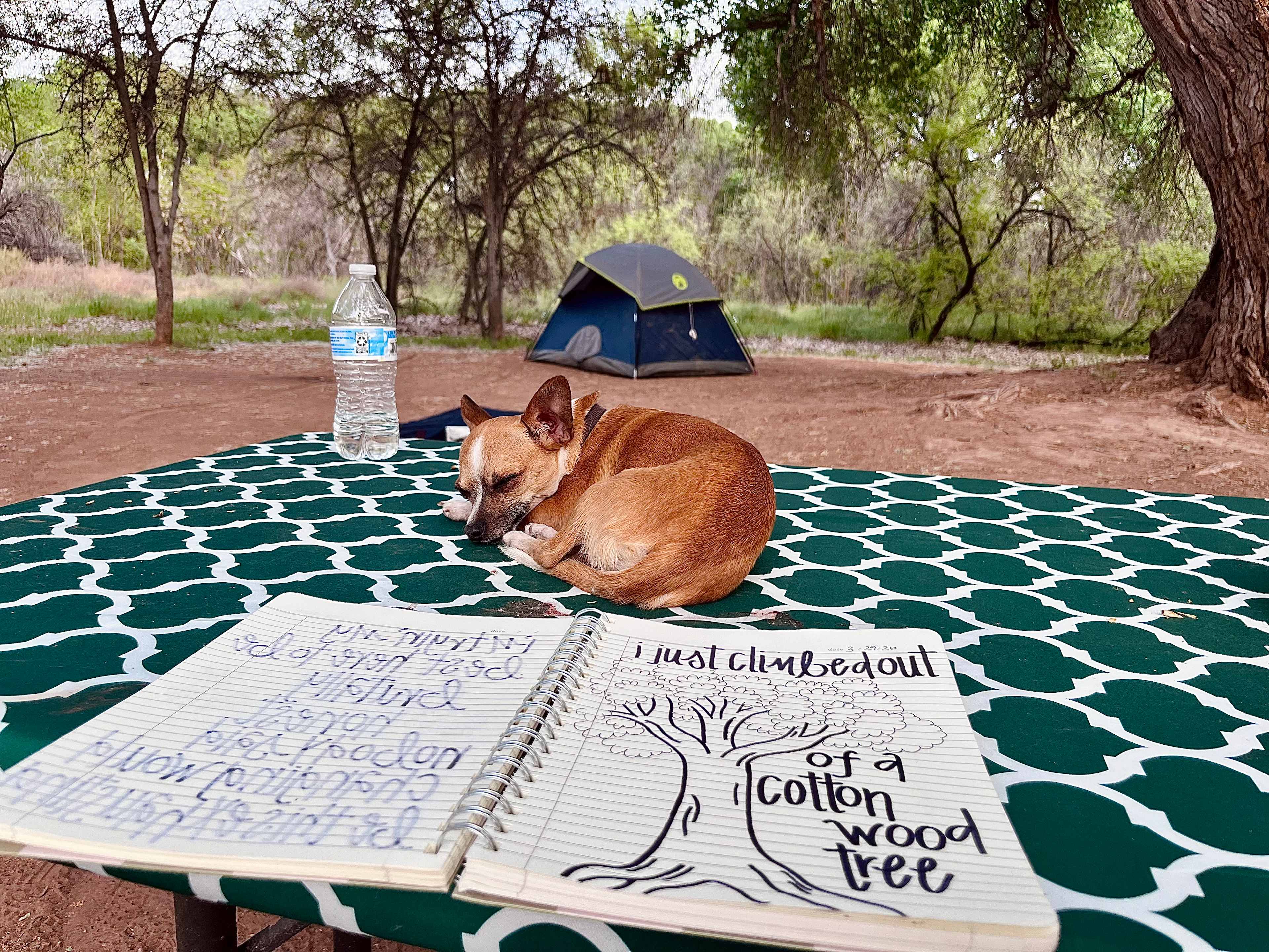 Hawks Hideaway Camping, LLC