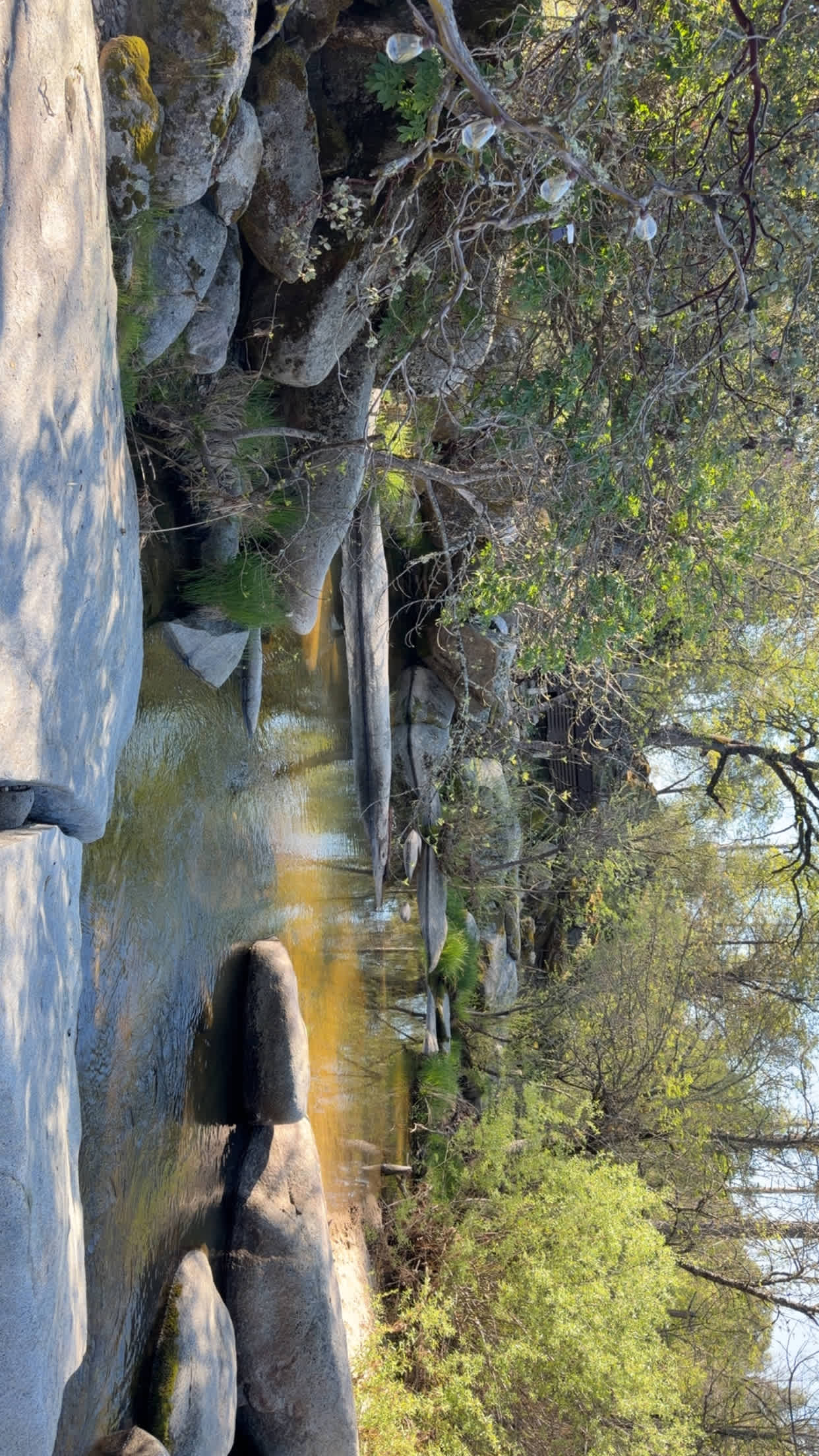 Swimming + Stargazing Near Yosemite