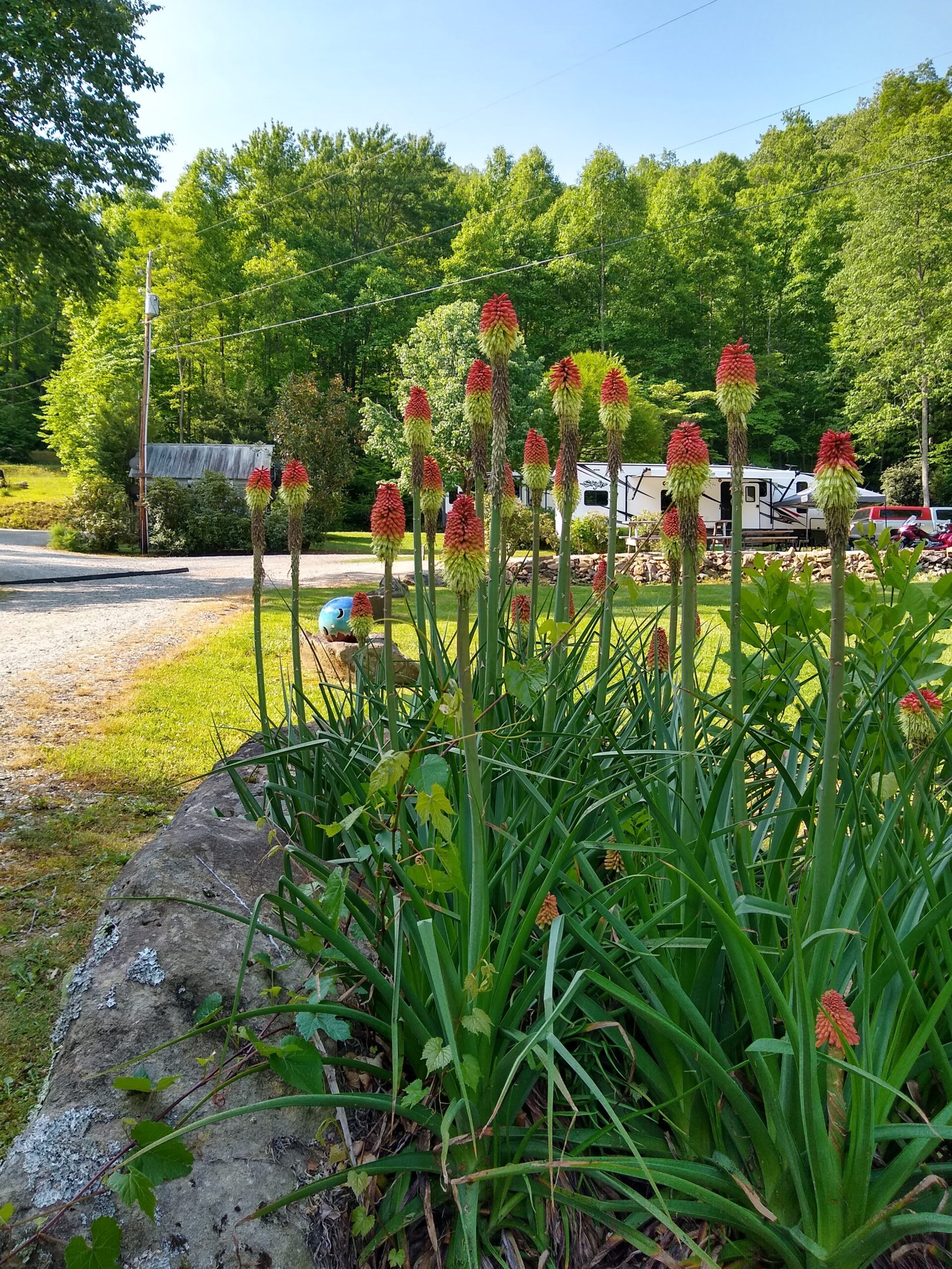Picture of the site