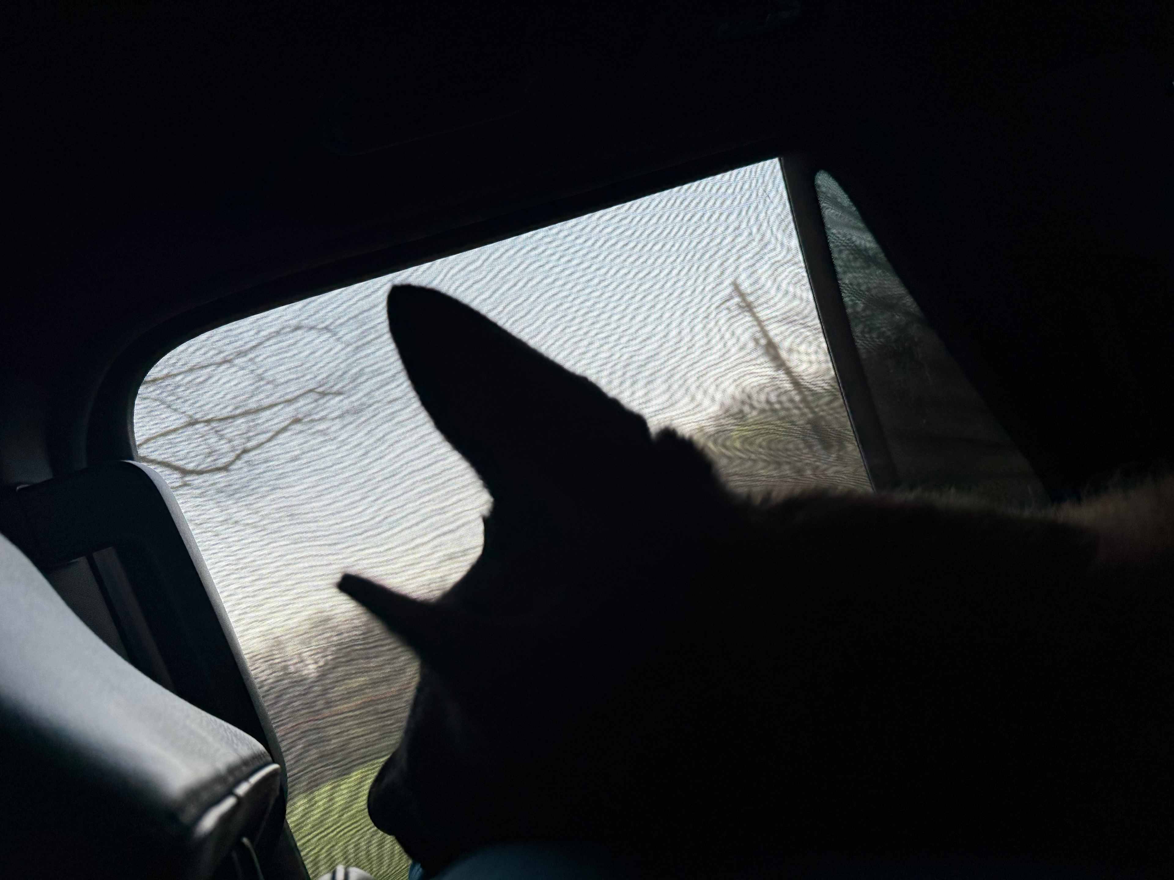 The Bluffs At Tumbling Creek