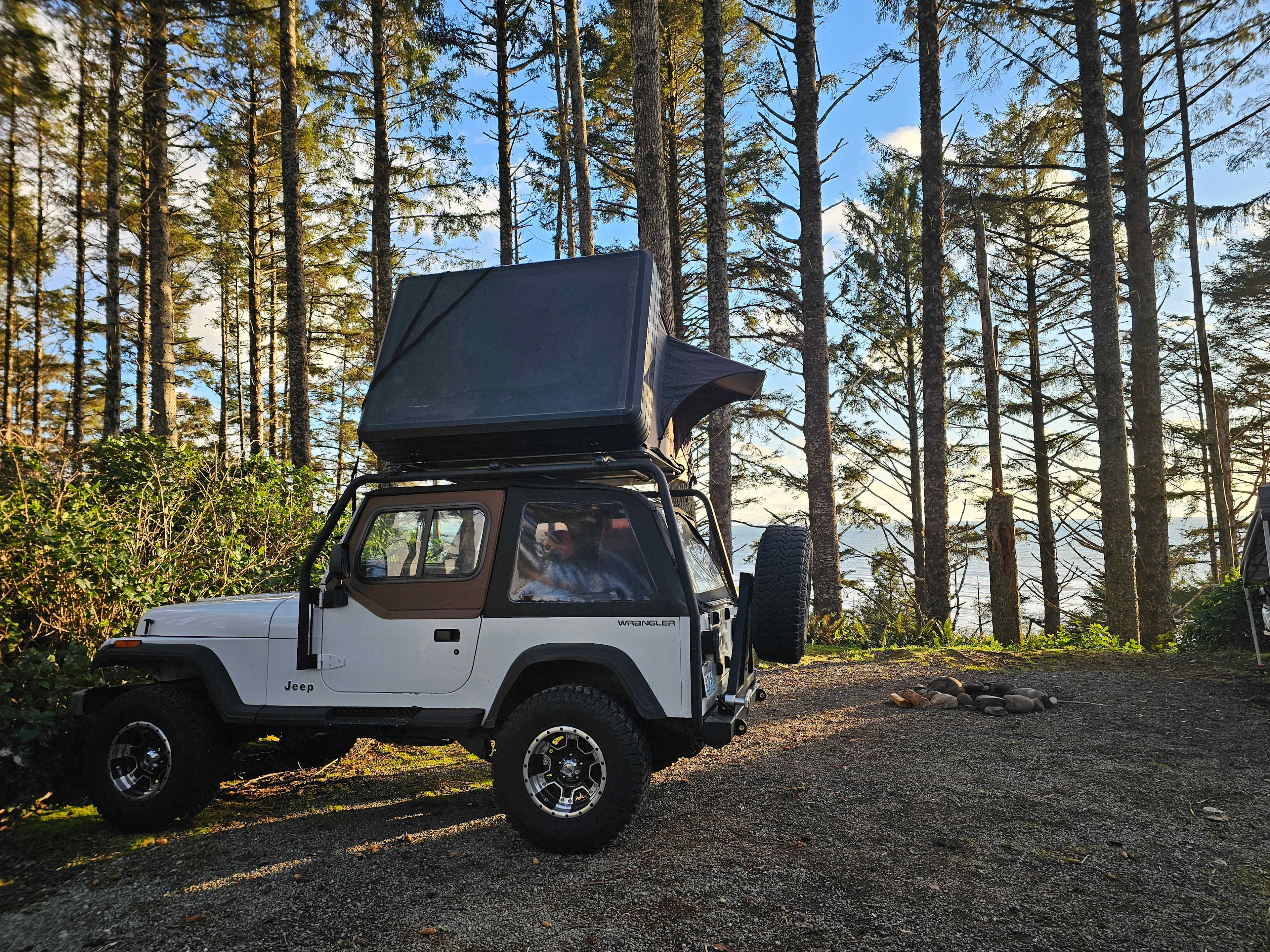 Wild WA Coast Lookout ($75 - $125)