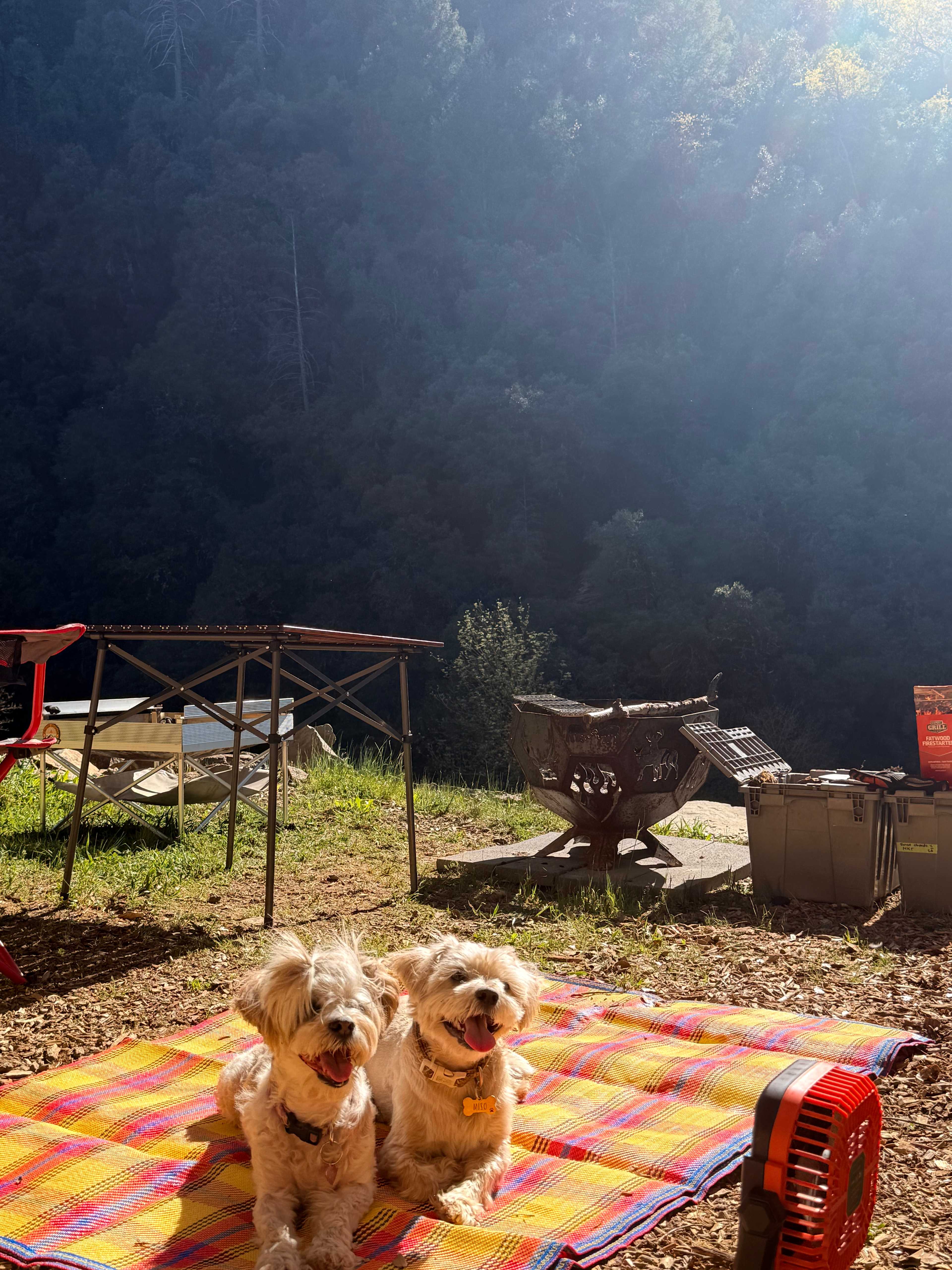 Campsite #1 views