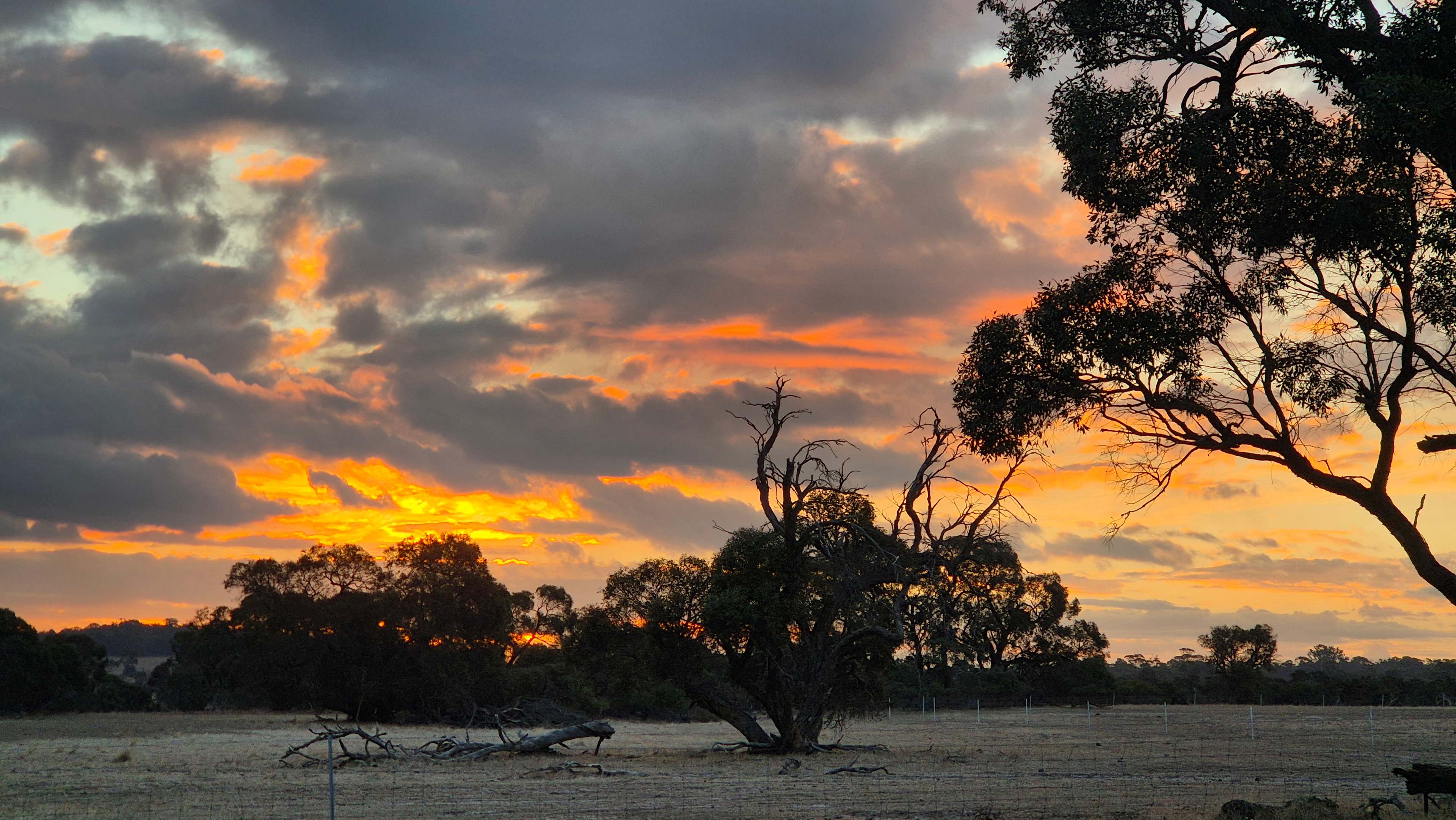 Sunset site