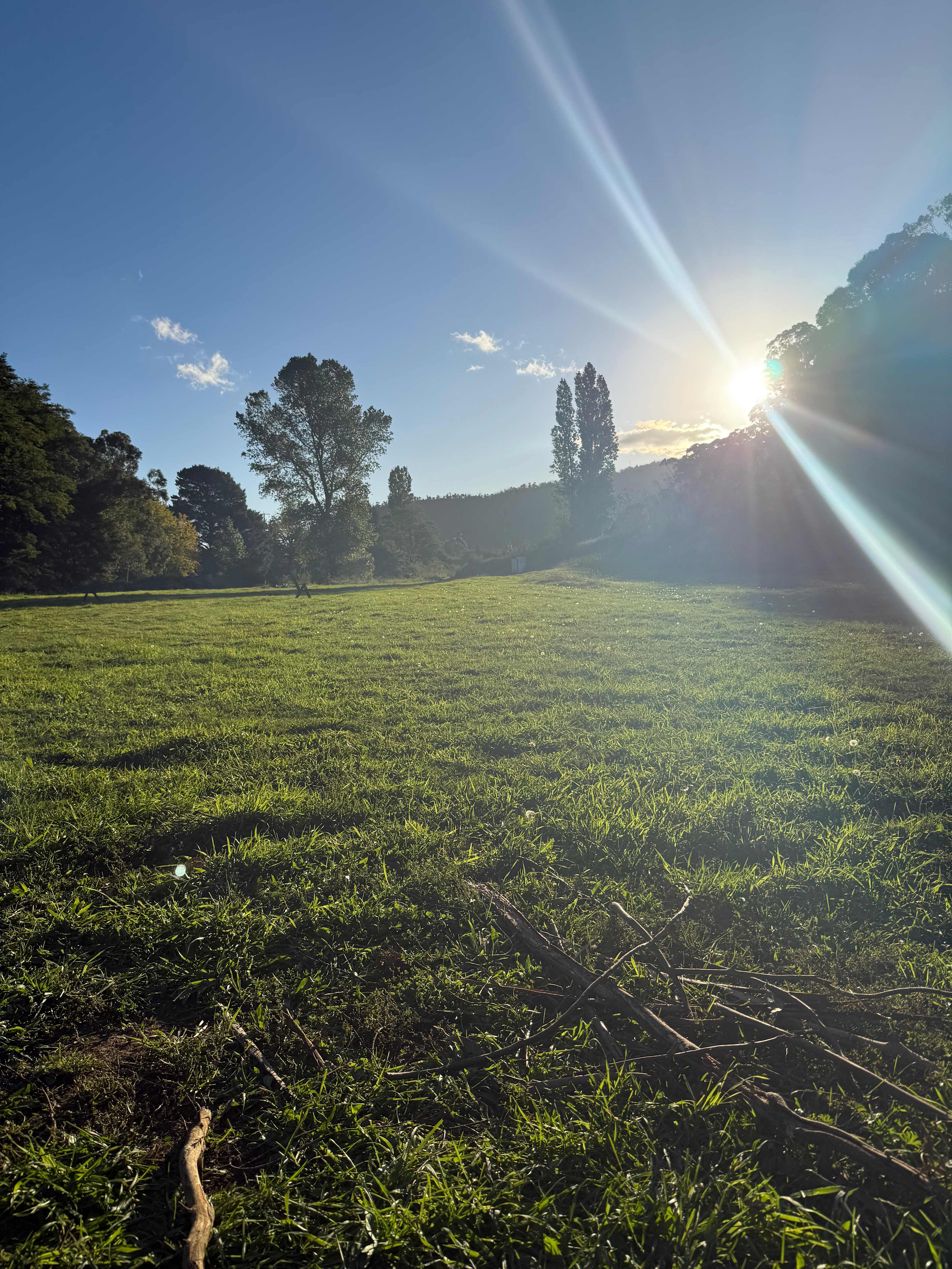 Good Paddock