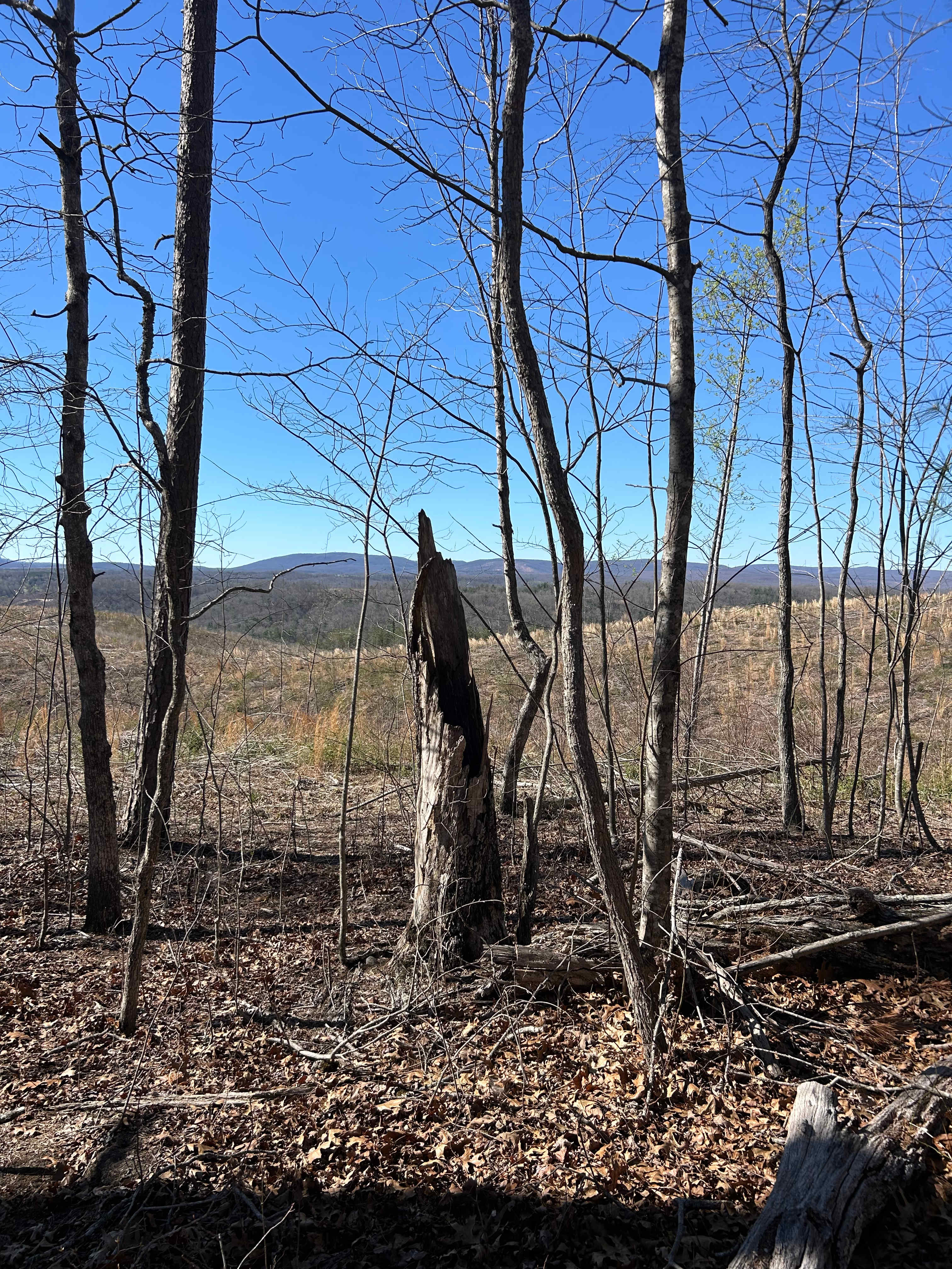 Awakening Adventures