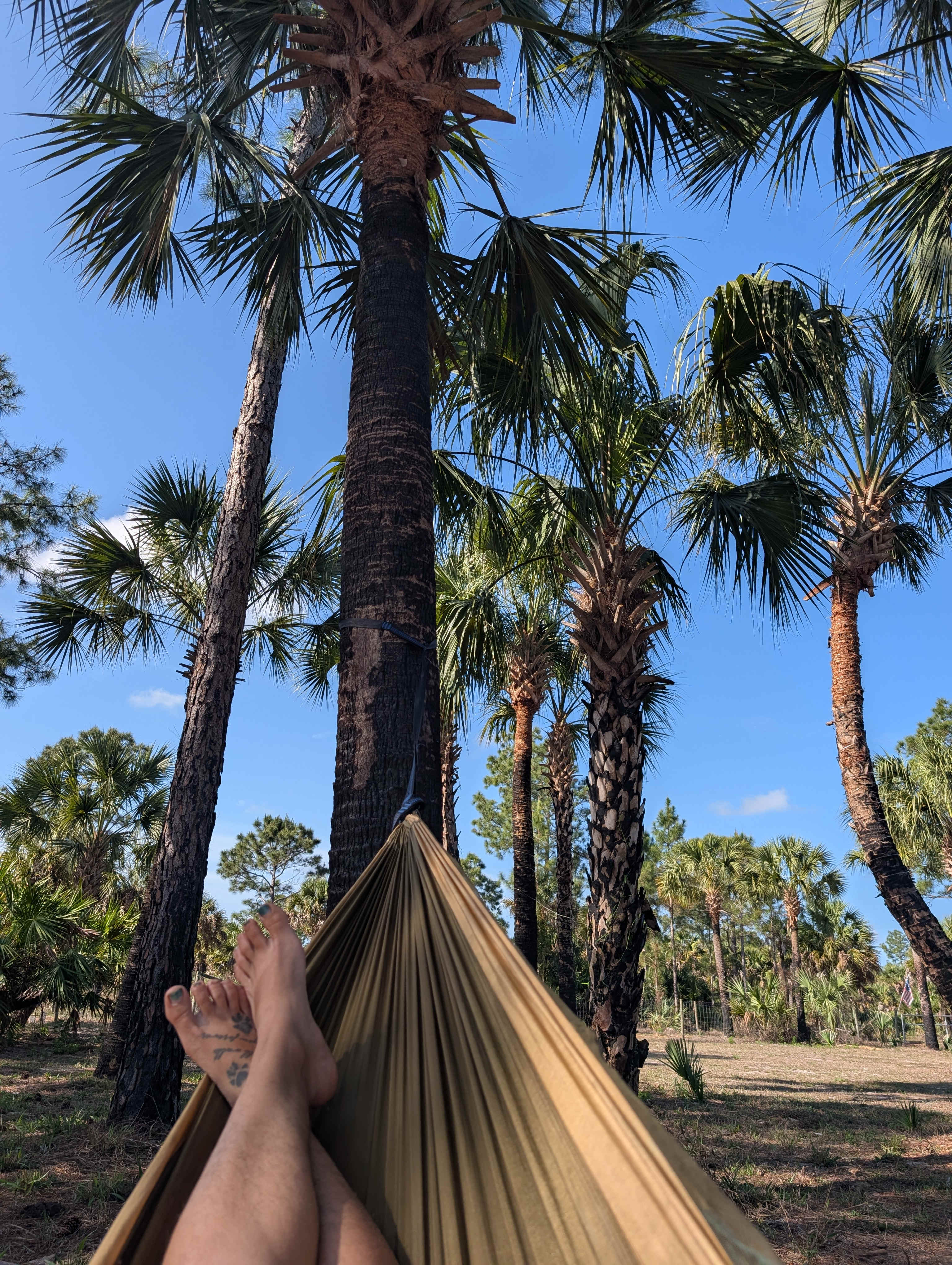 Prana's Paradise