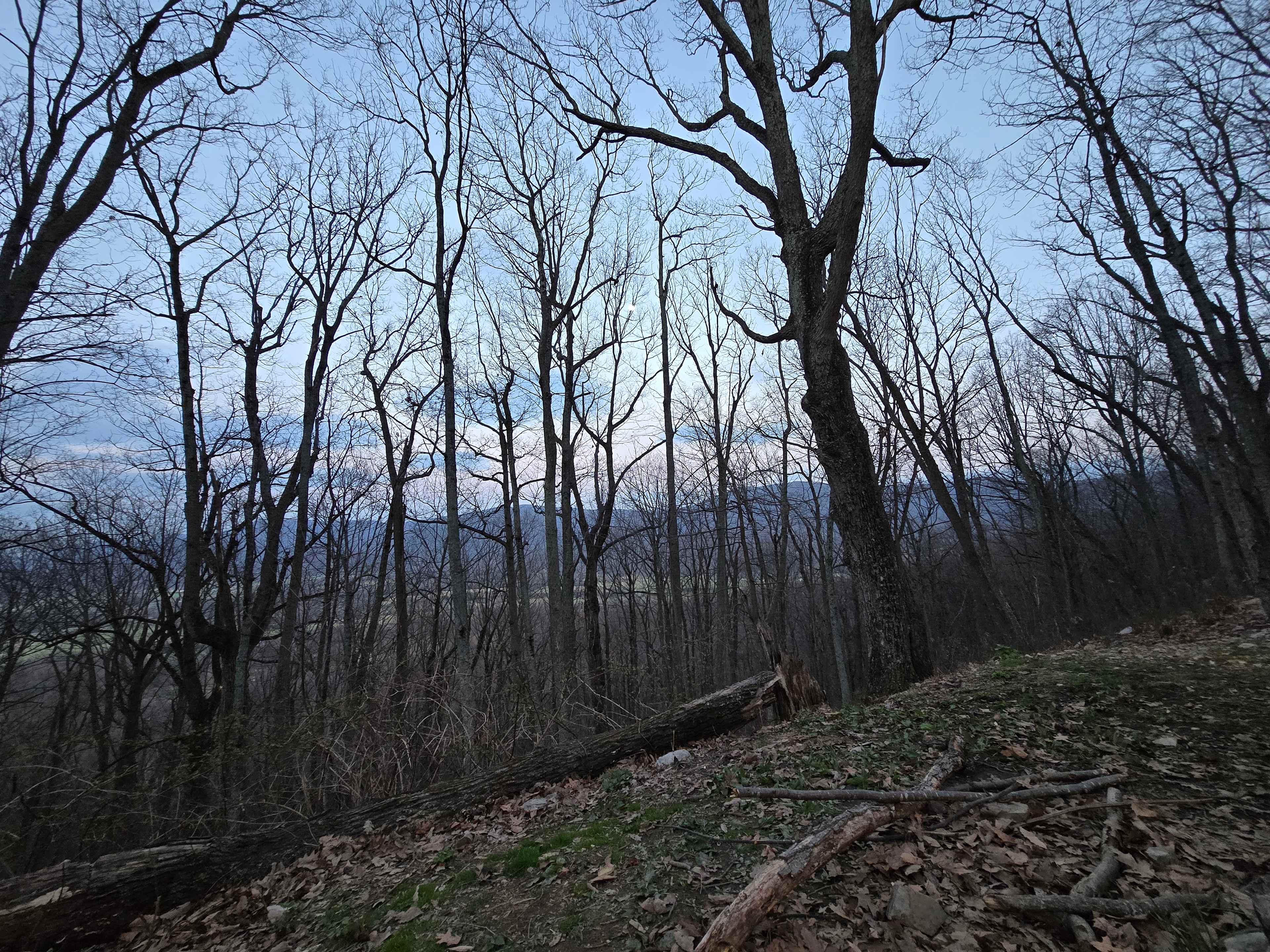 Secluded, private site