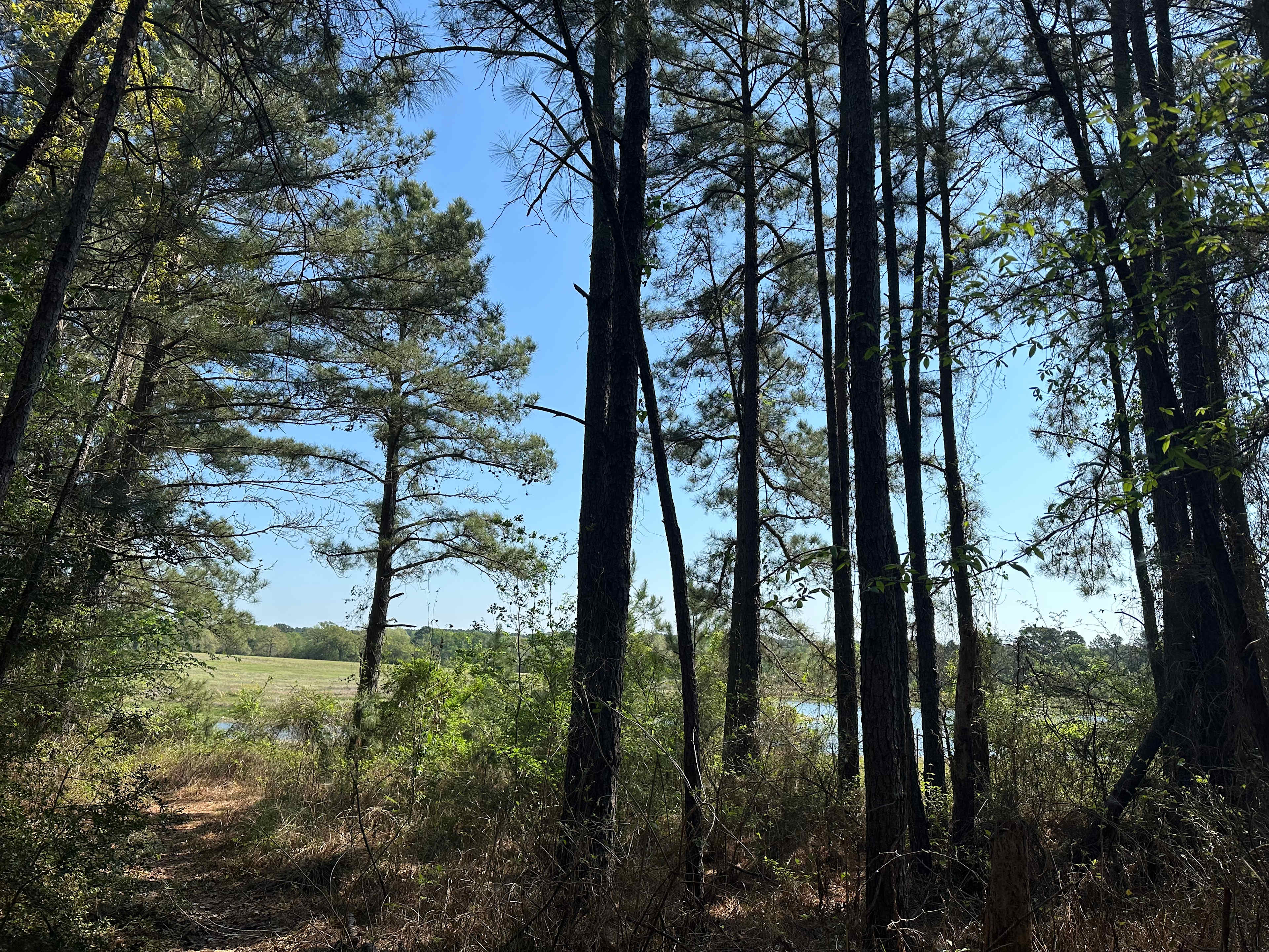 View from one of the trails