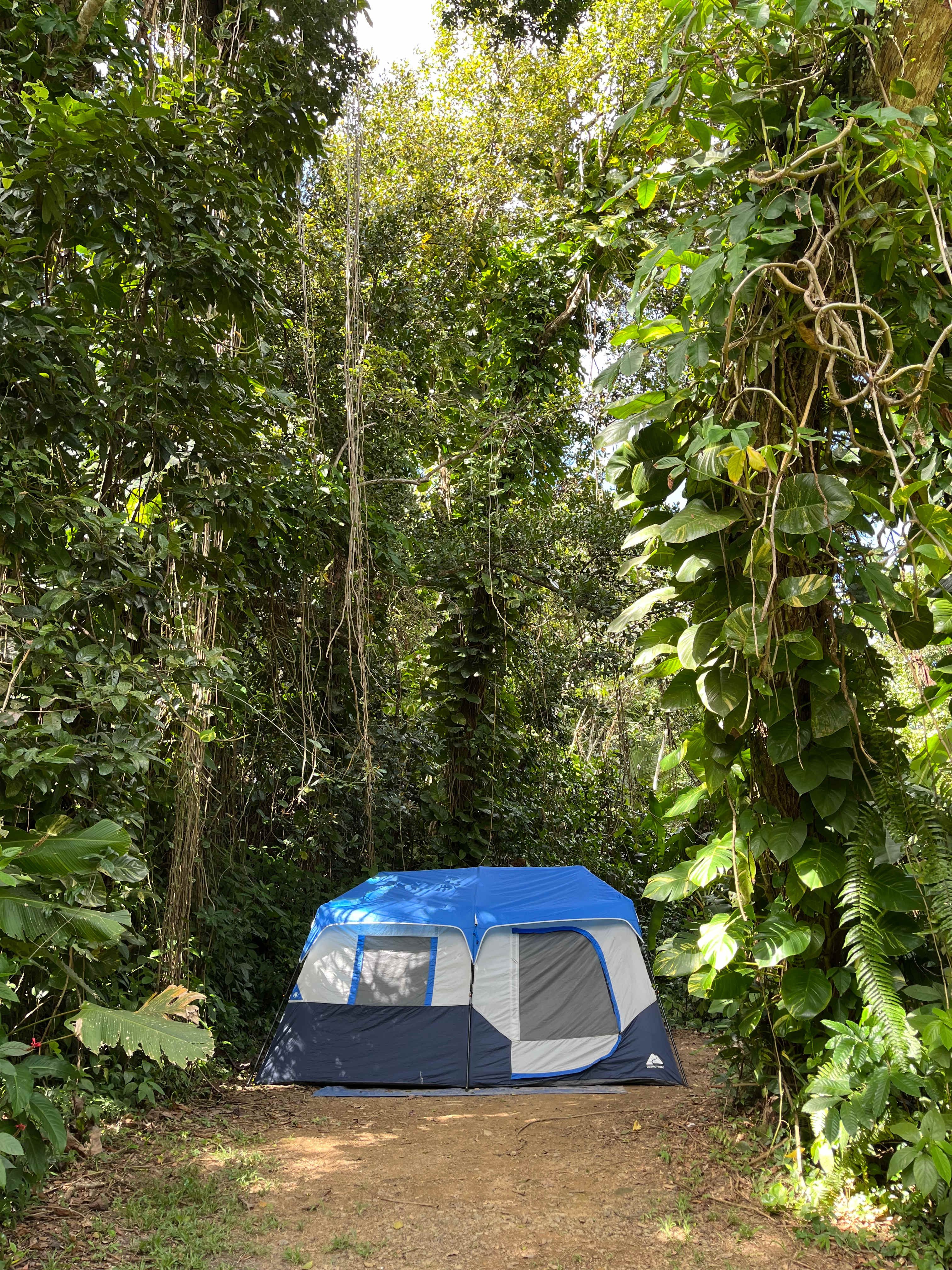 Hacienda Monte Rey near El Yunque