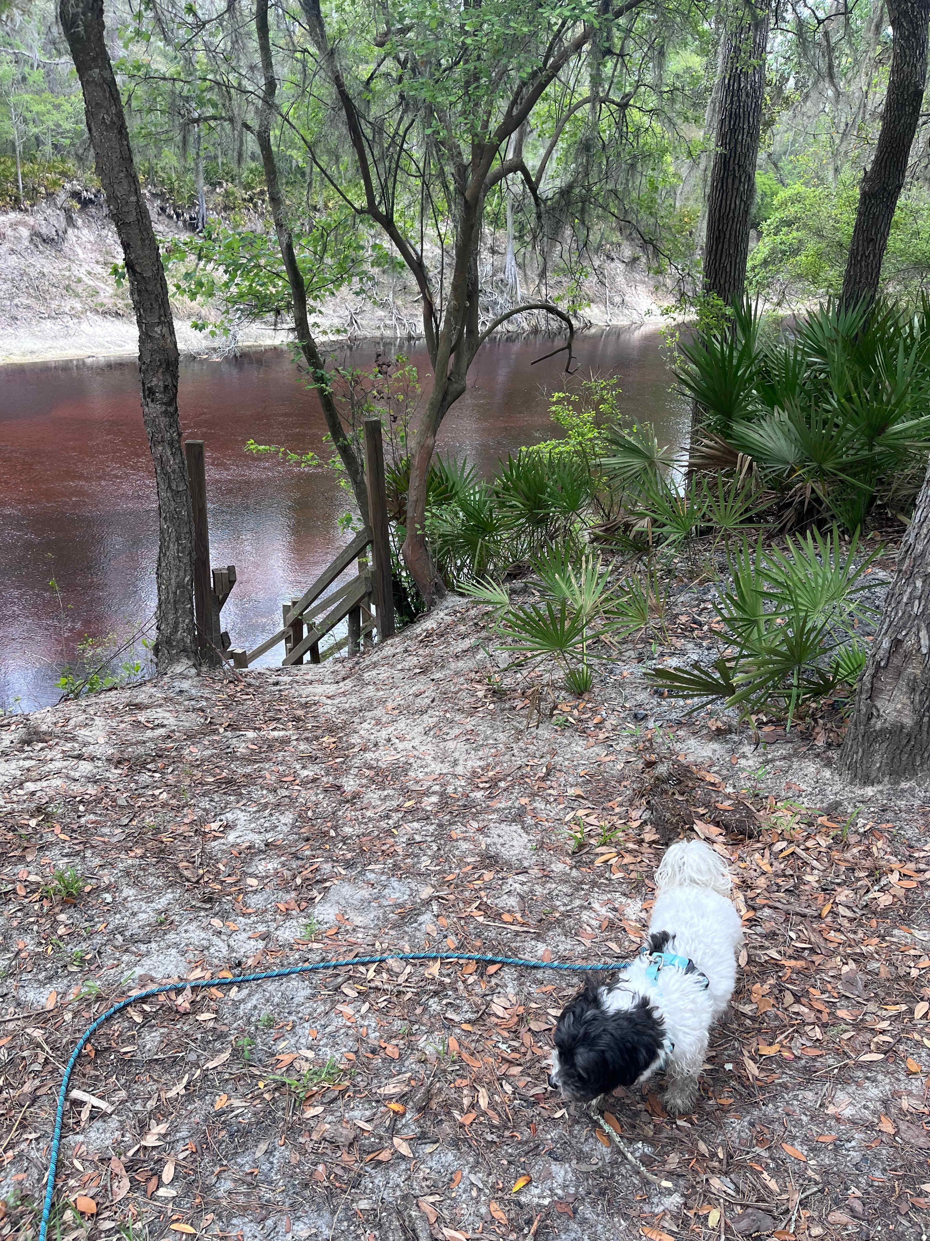 Off Grid River Camping