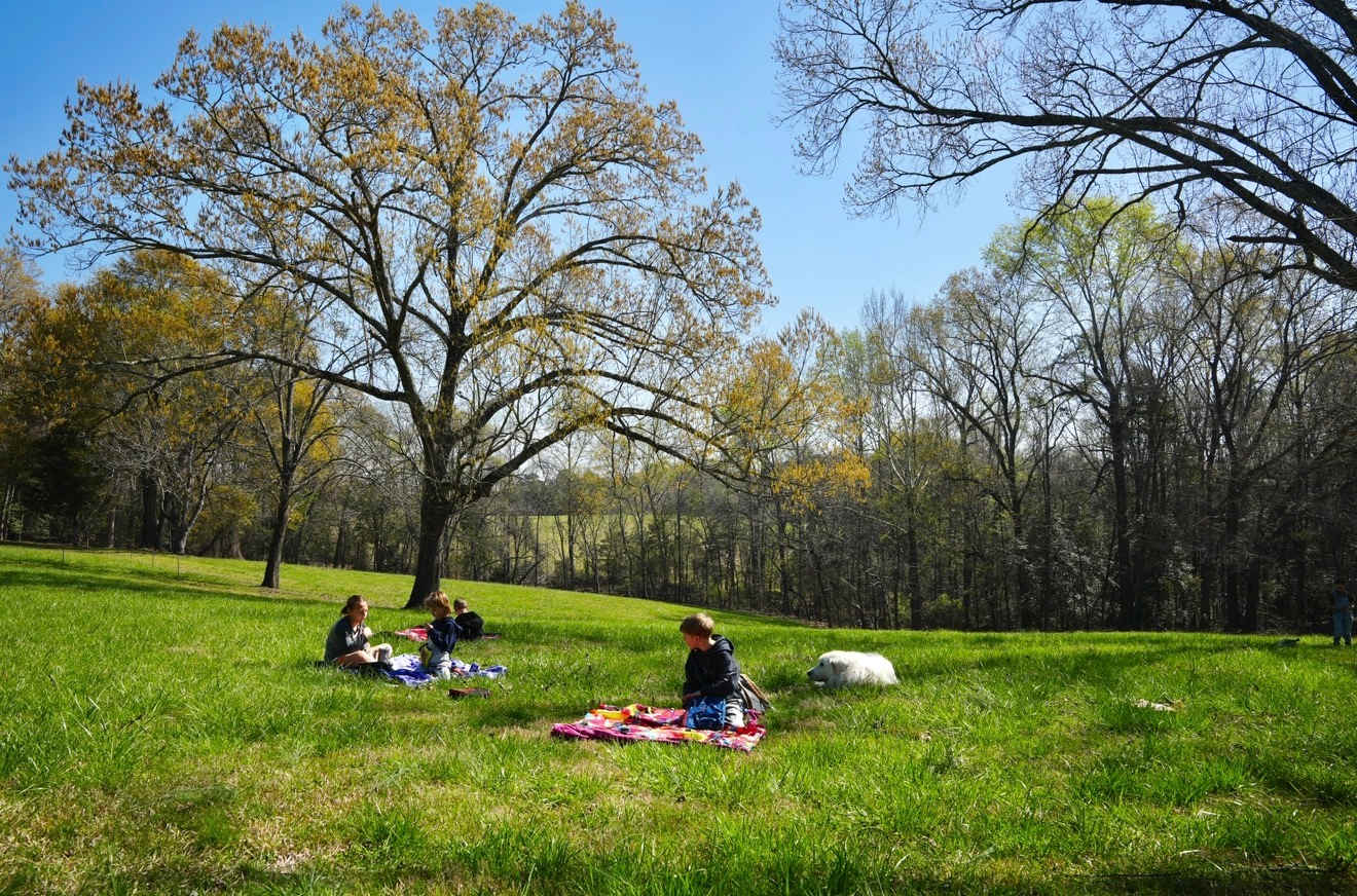 Picture of the site