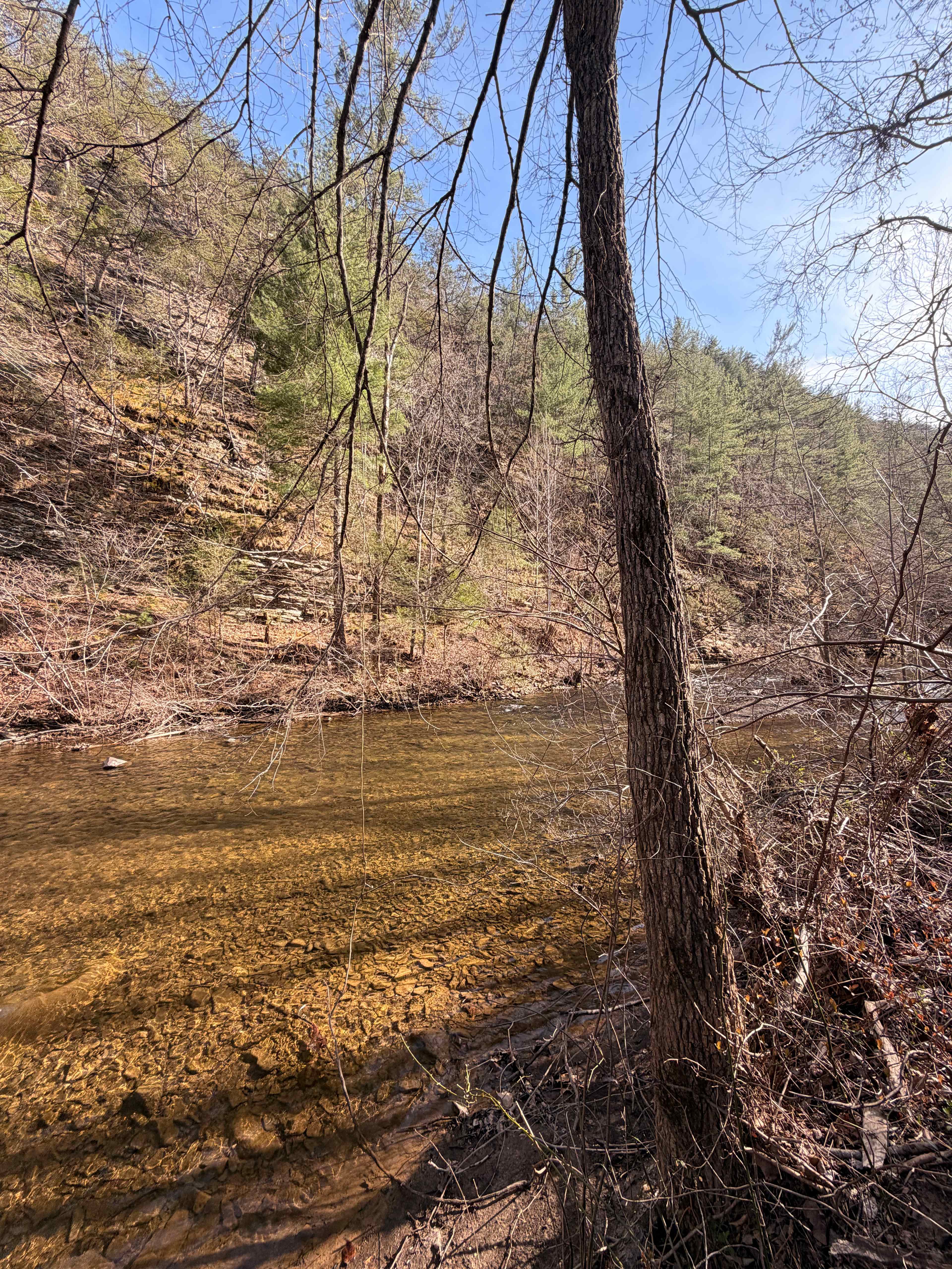 Savage Acres on Craig Creek