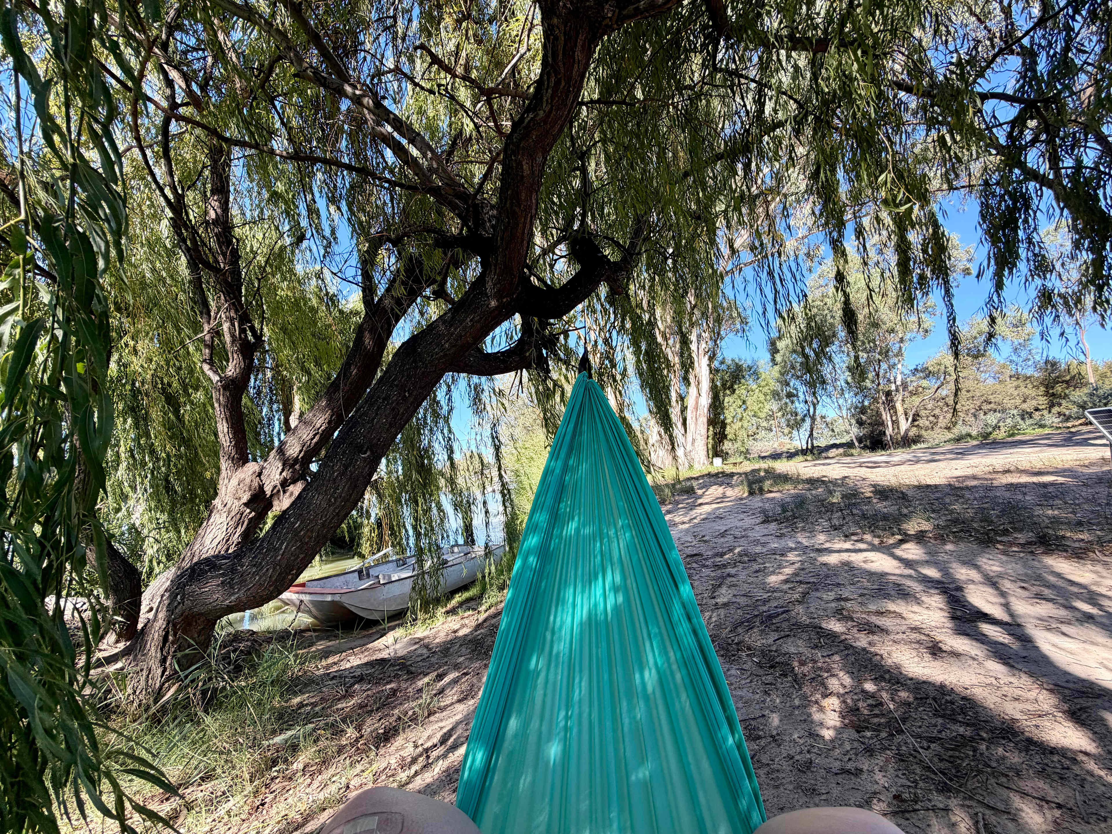 Relaxing in a hammock. Heaps of trees to hang from. 