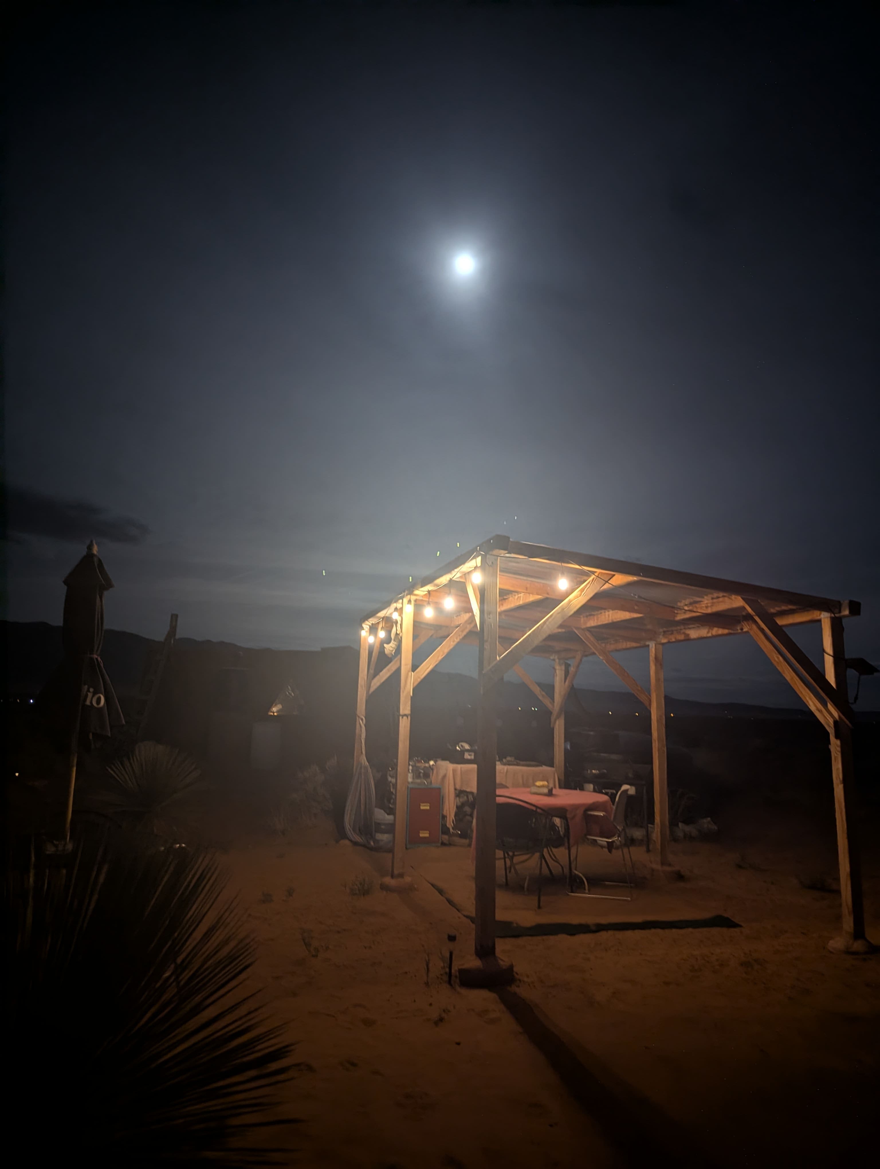 Under the light of the full moon