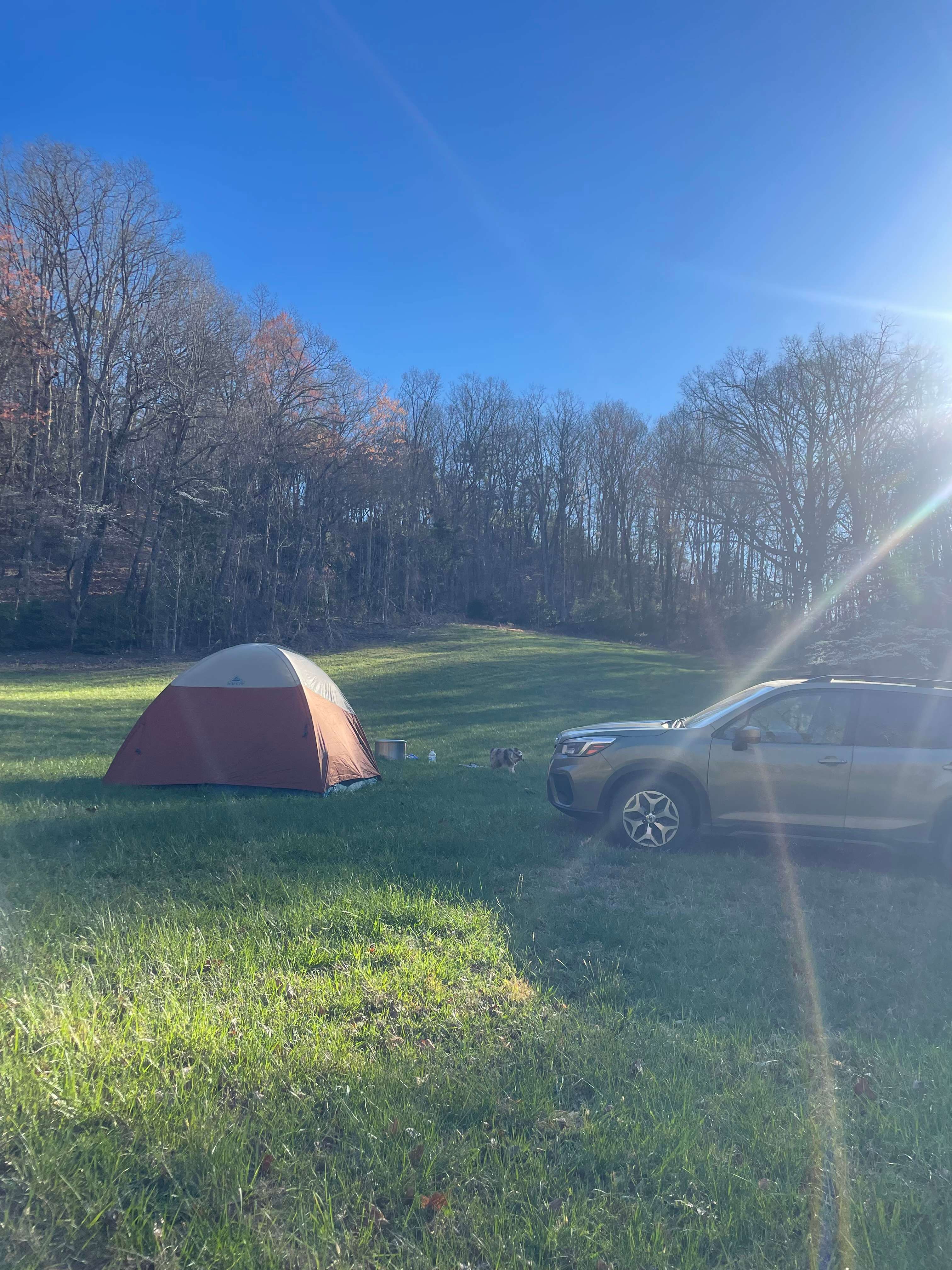Walnut Springs Farm