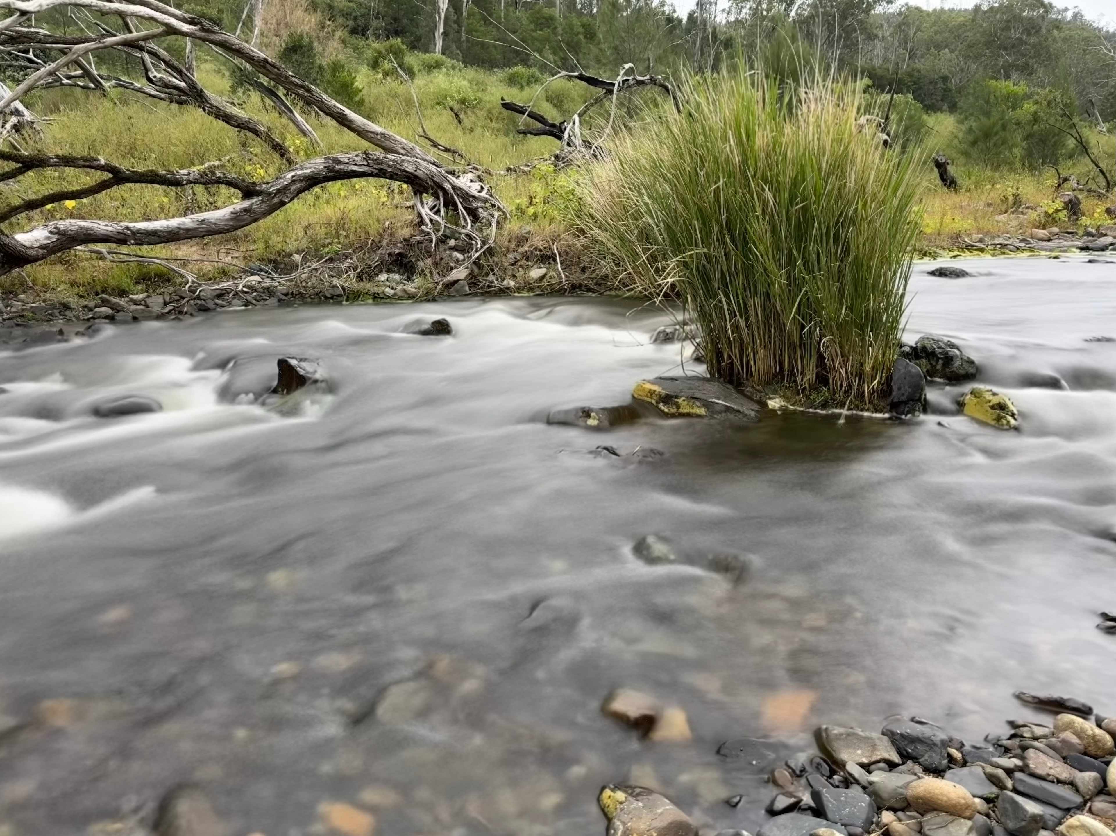 Clarence River Wilderness Lodge