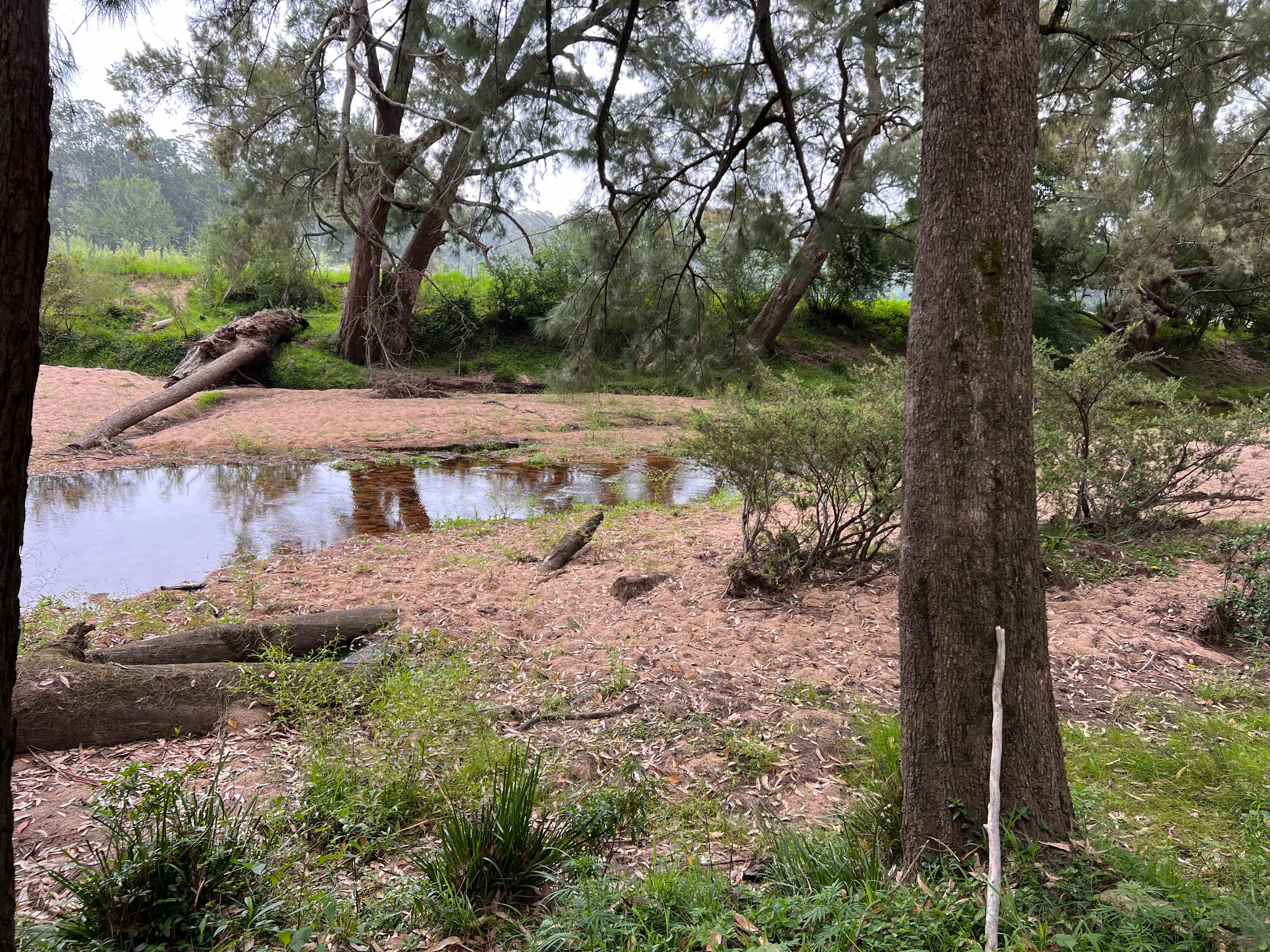 The river (very low water level, March 26)