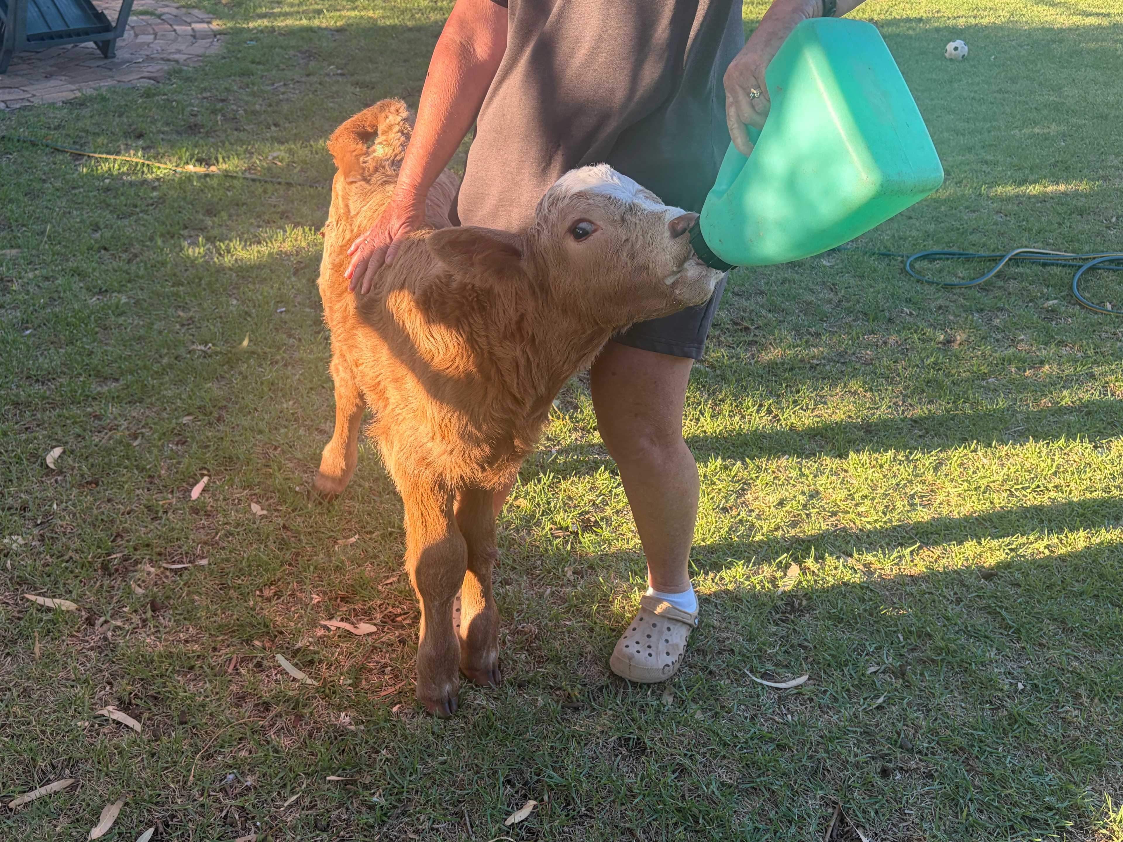 Munglinup Farm Stay