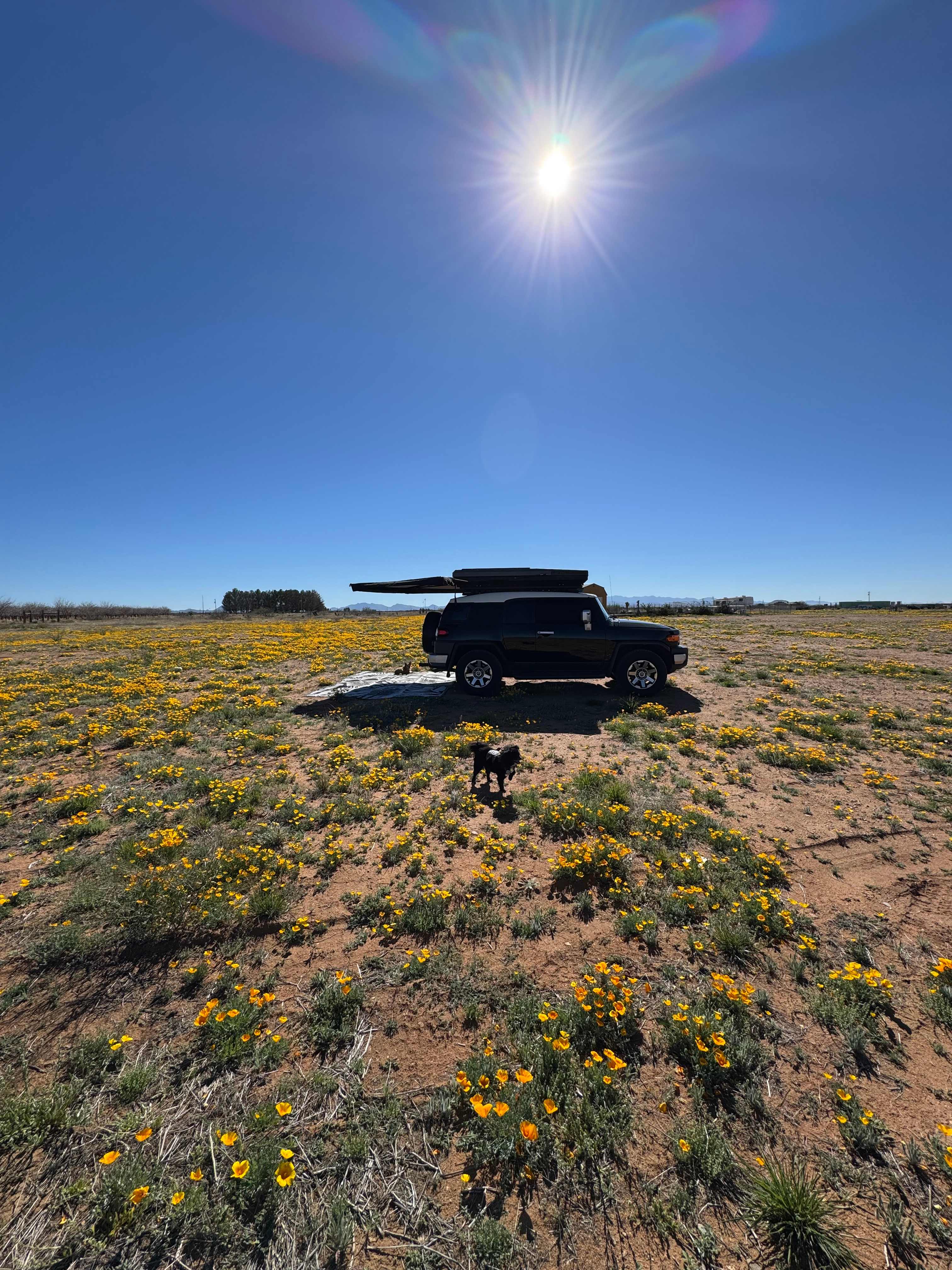 Breaking camp- so beautiful!!