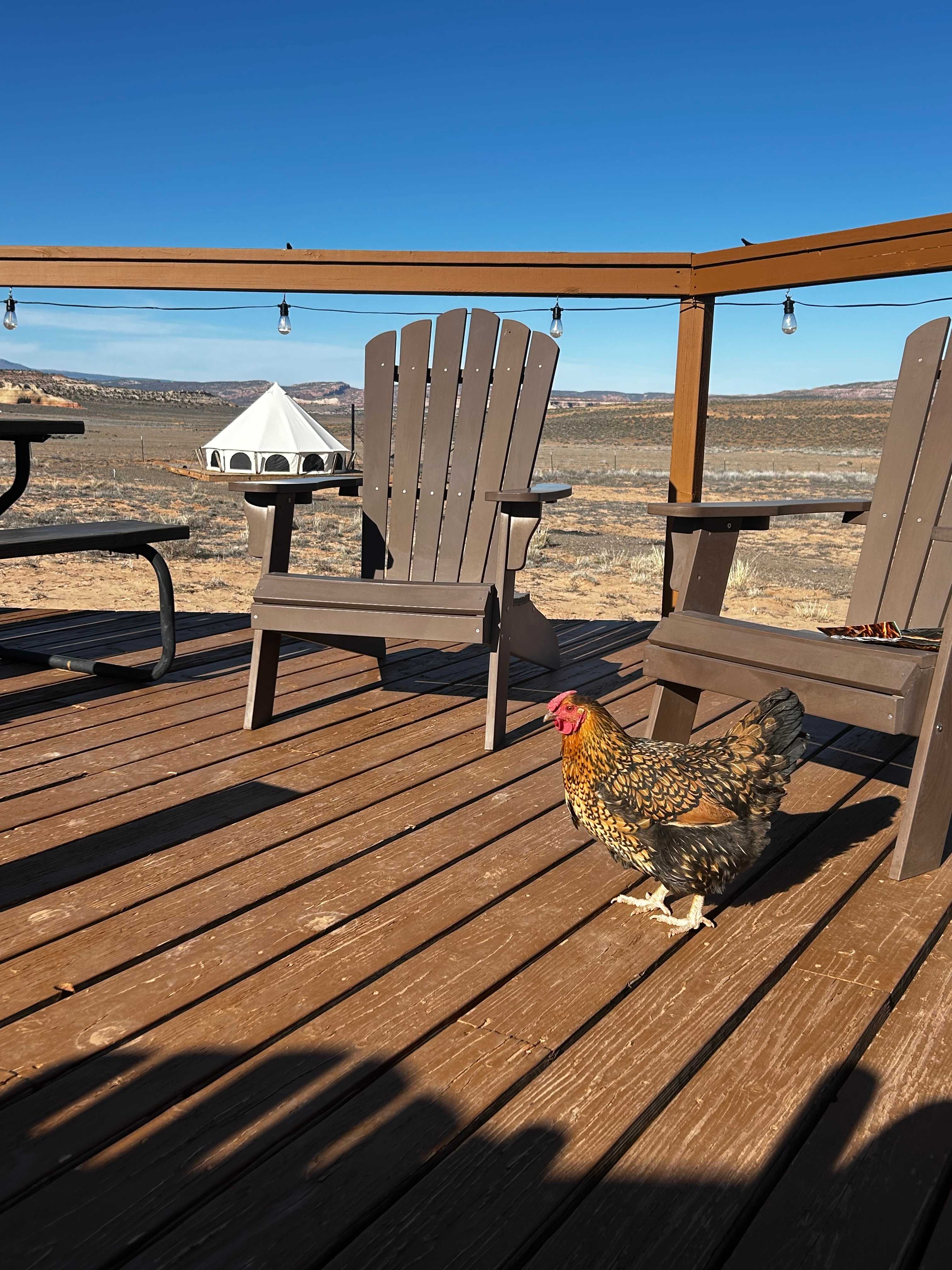 Glamping Canyonlands