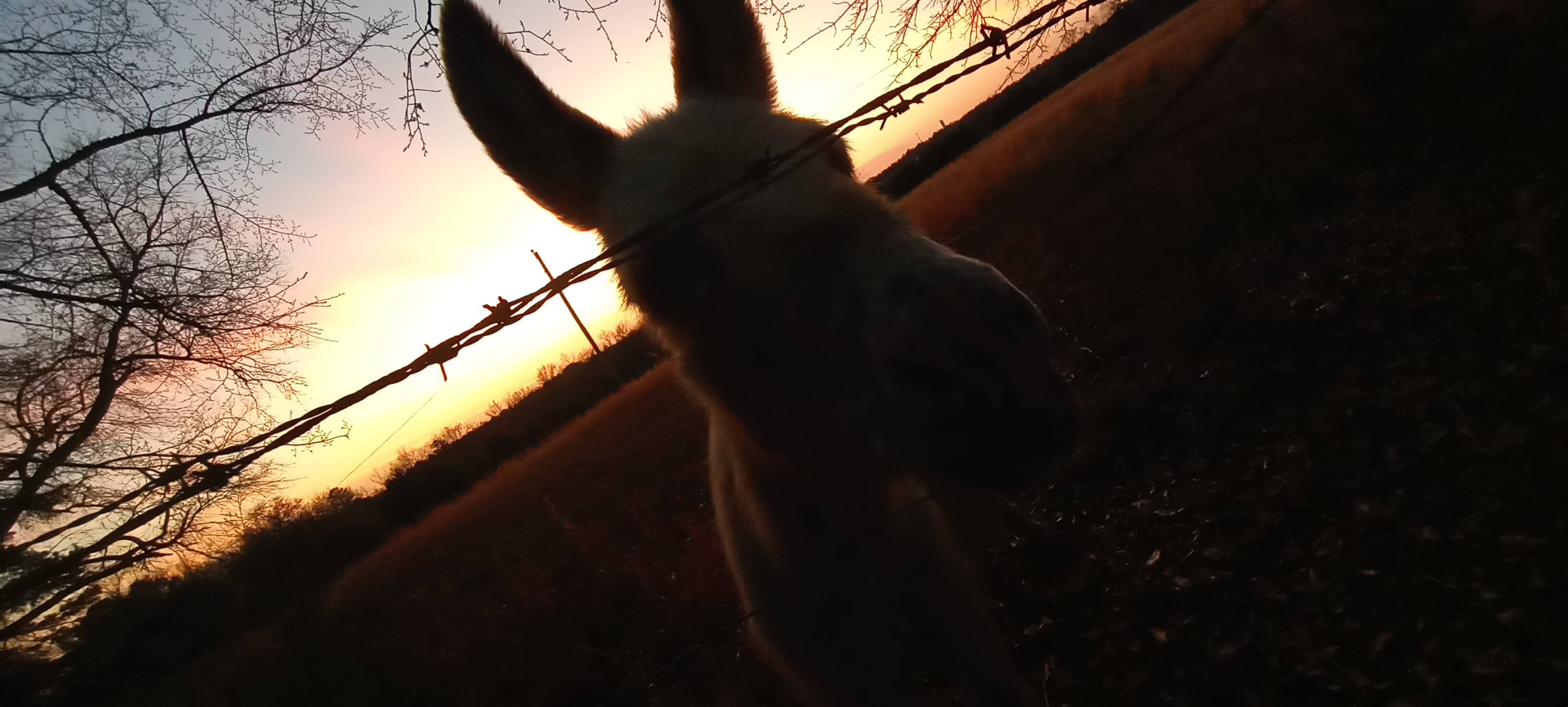 Pinnacle Springs Recreational Park