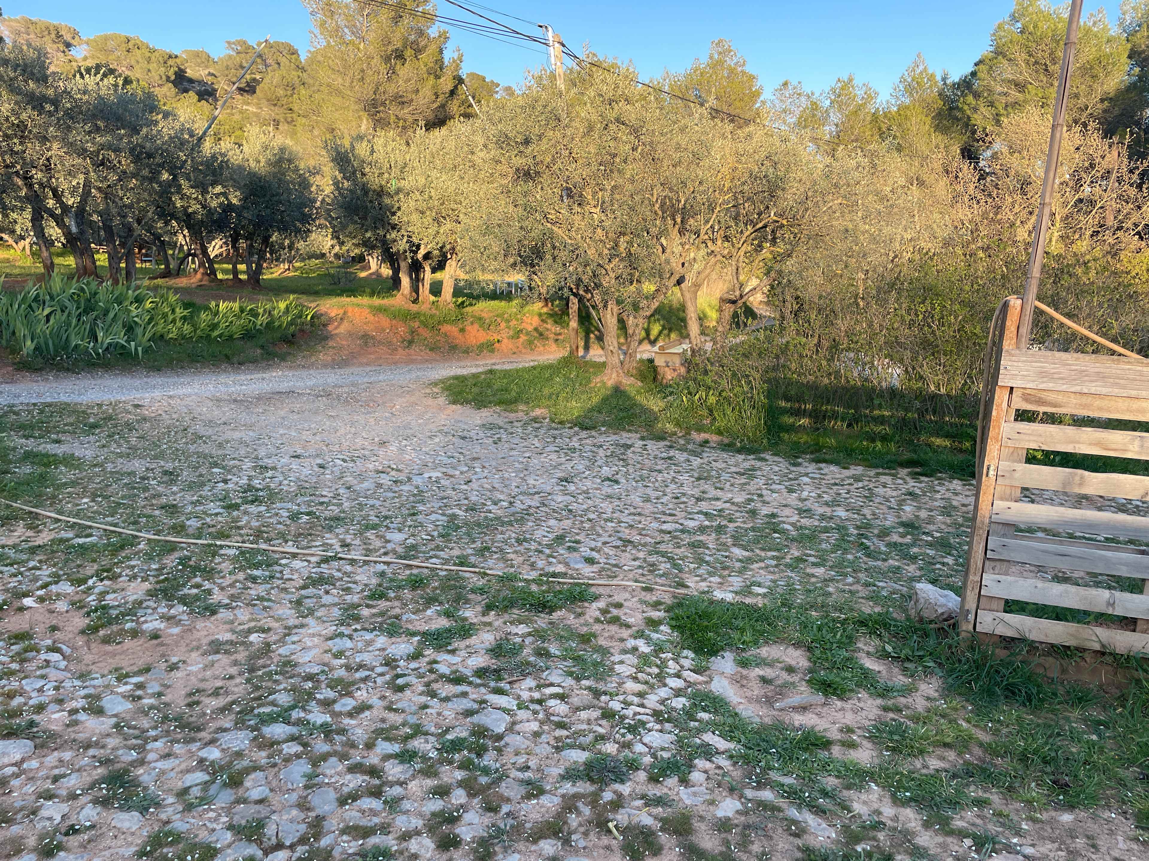 Picture of the site
