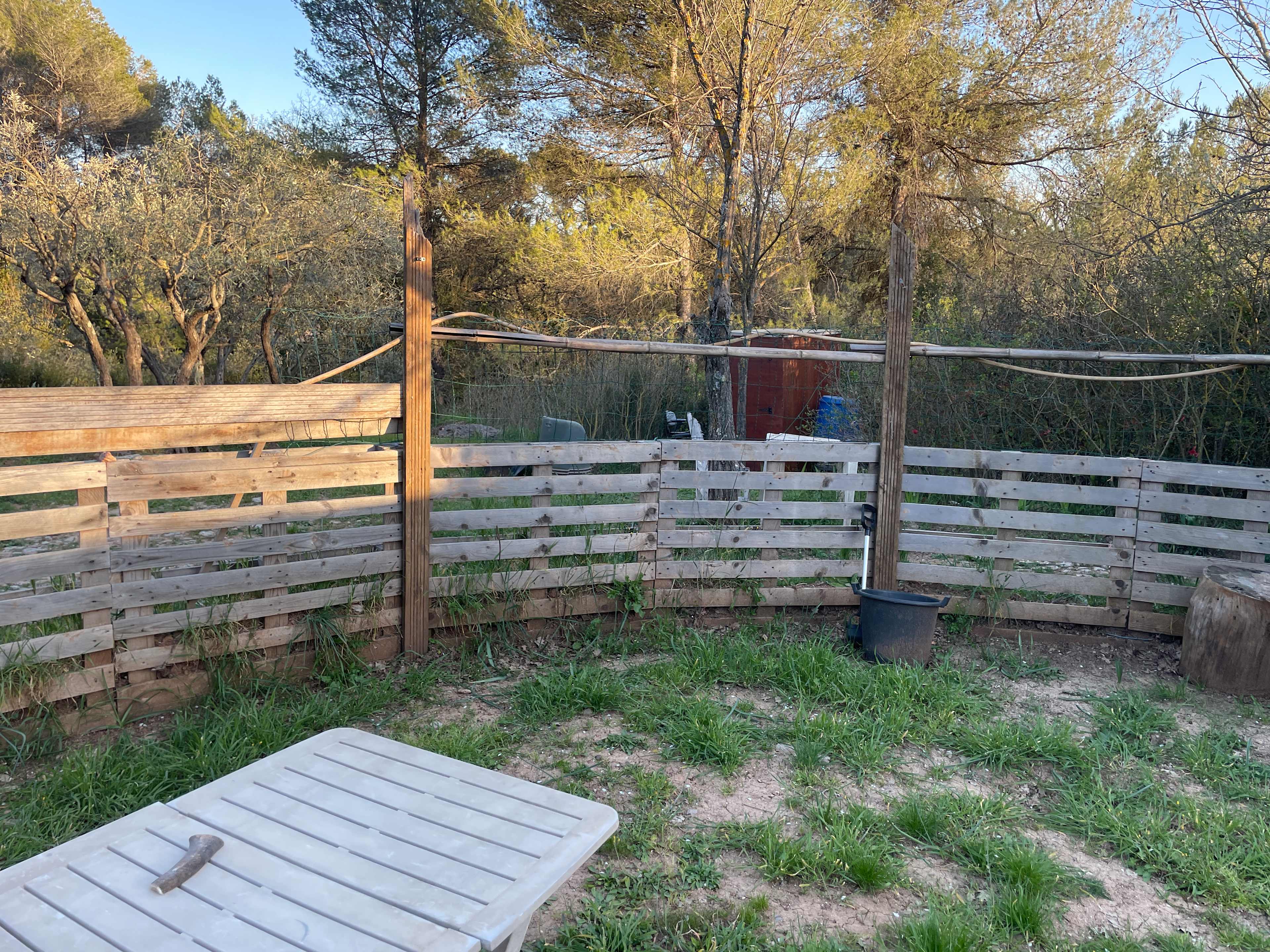 Picture of the site