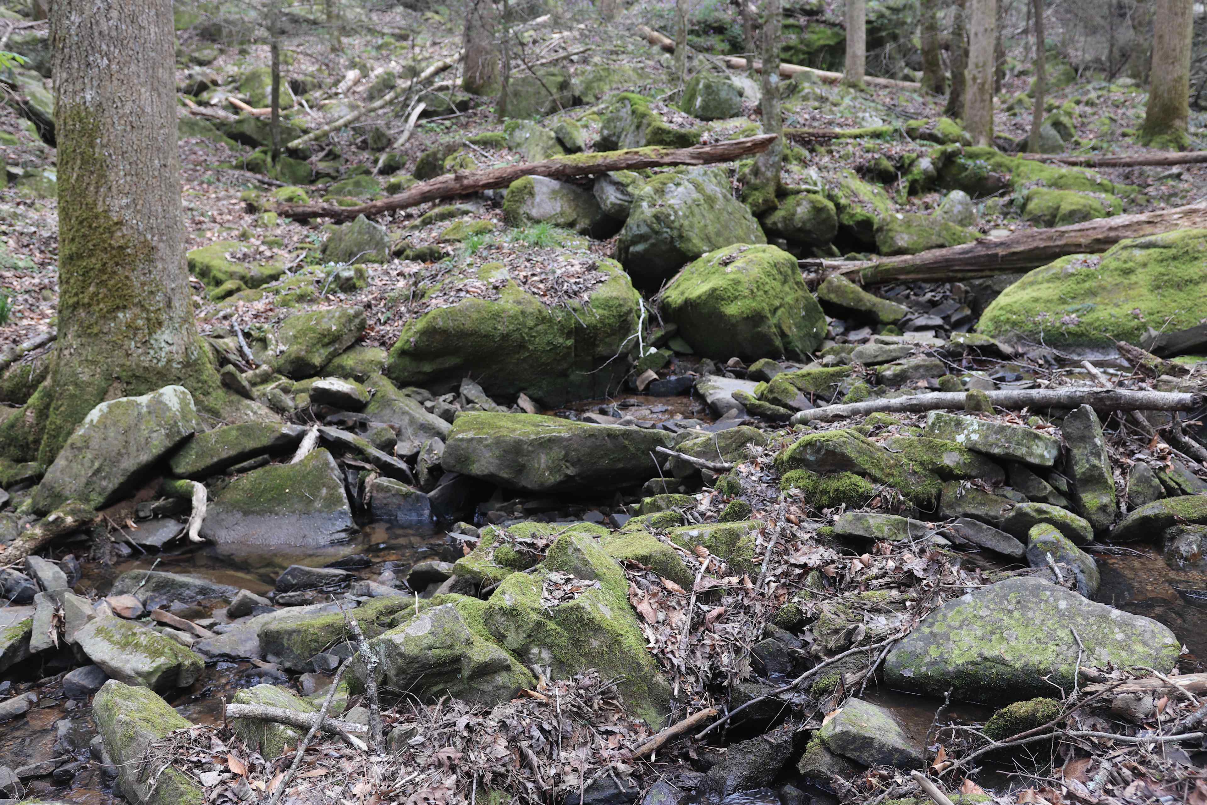 The Falls at Sewanee Creek