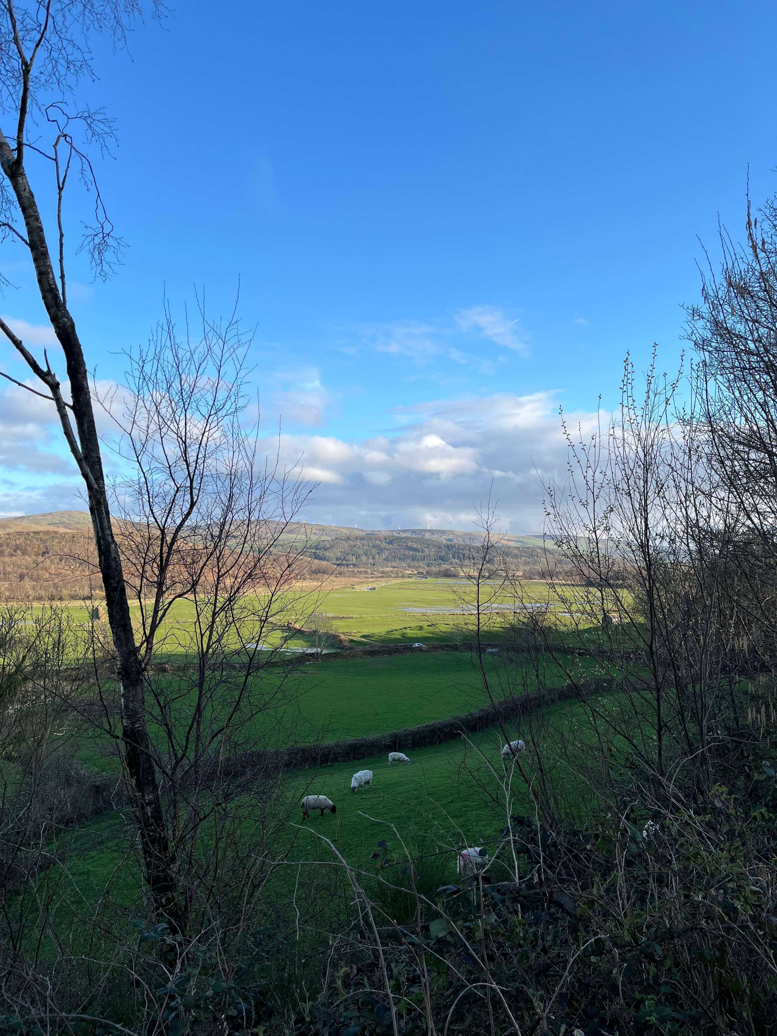 Moss Side Farm Campsite