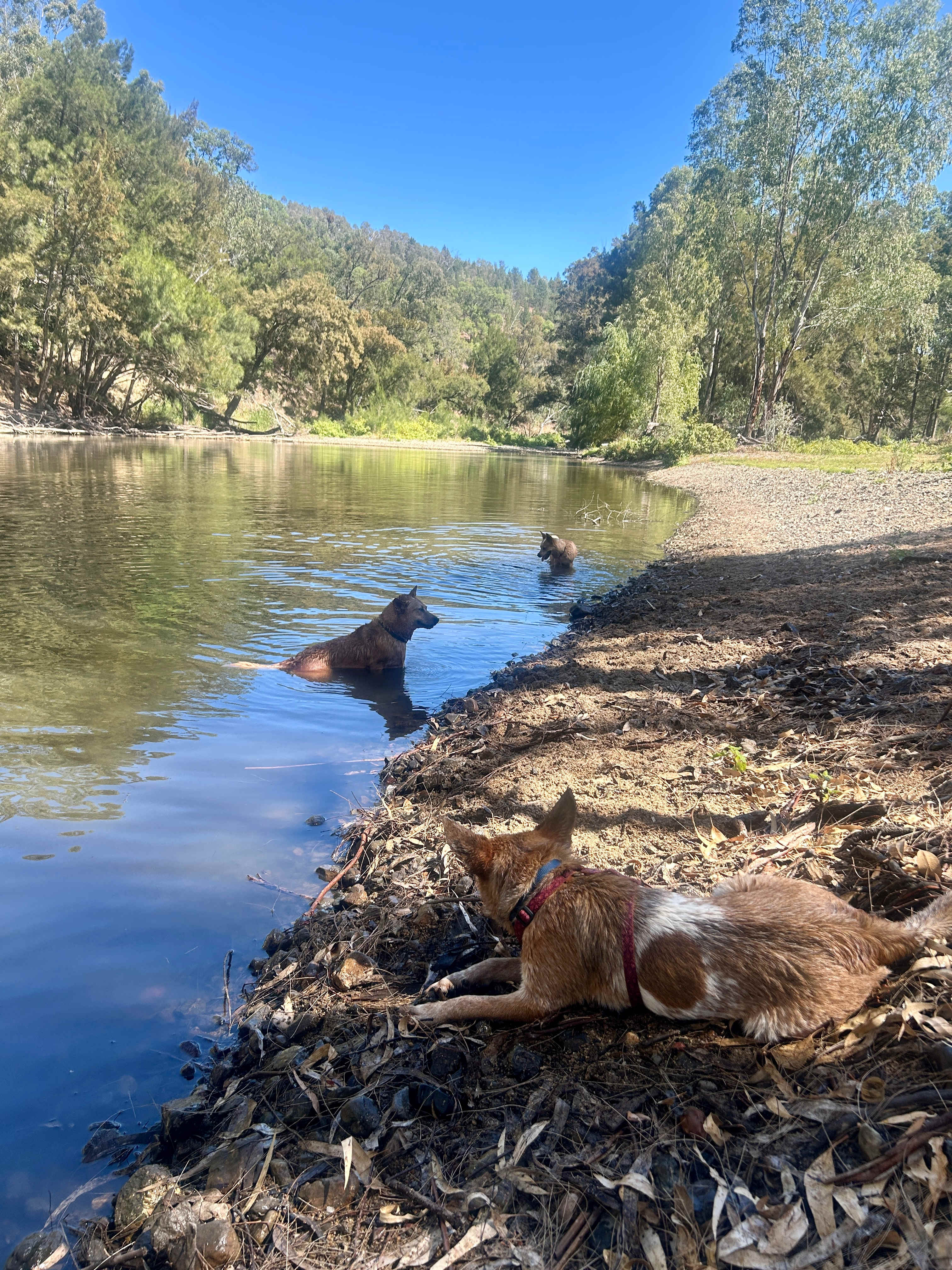 River at the private site