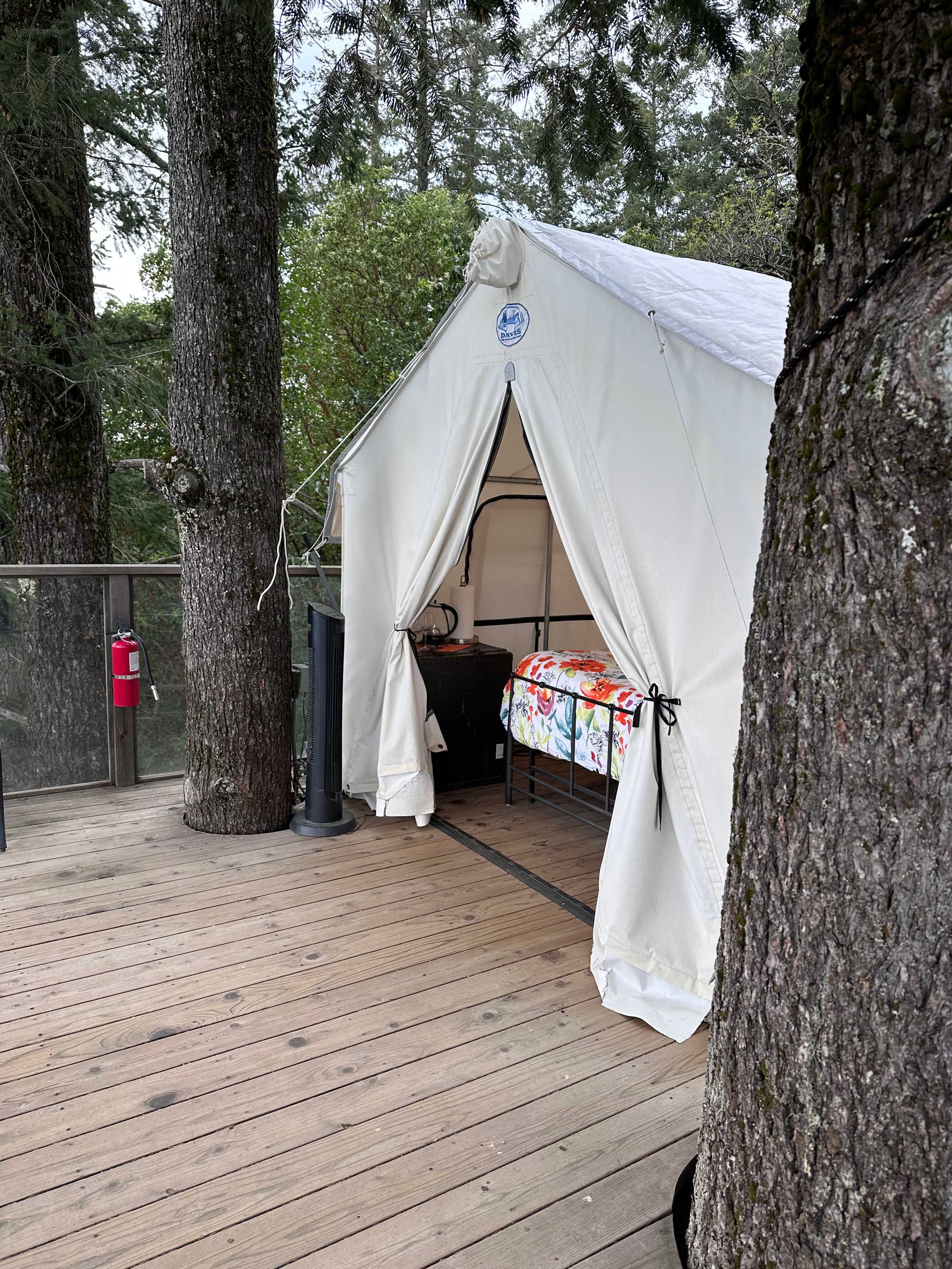 The cozy treehouse