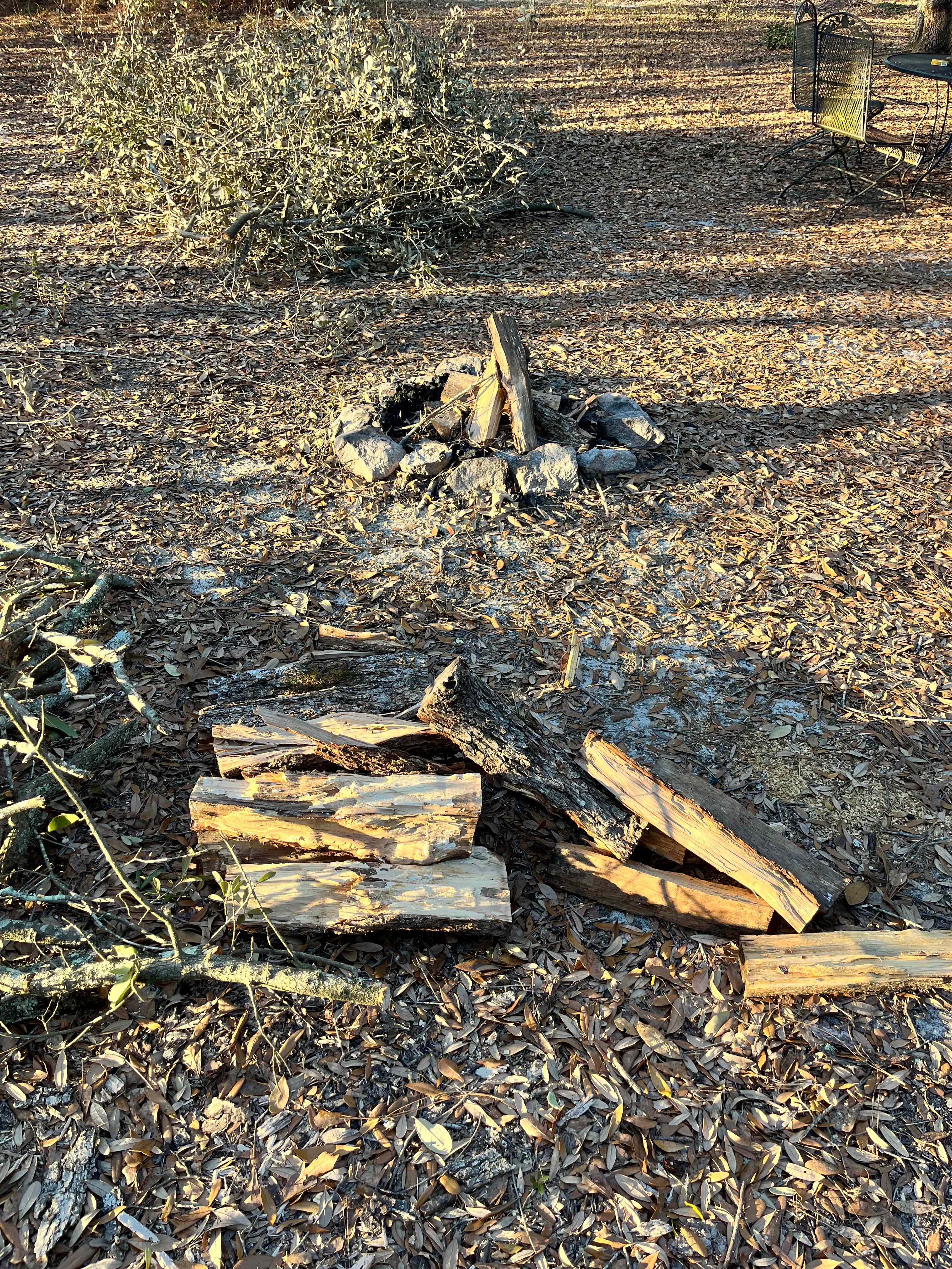 Too Many Oaks Plantation