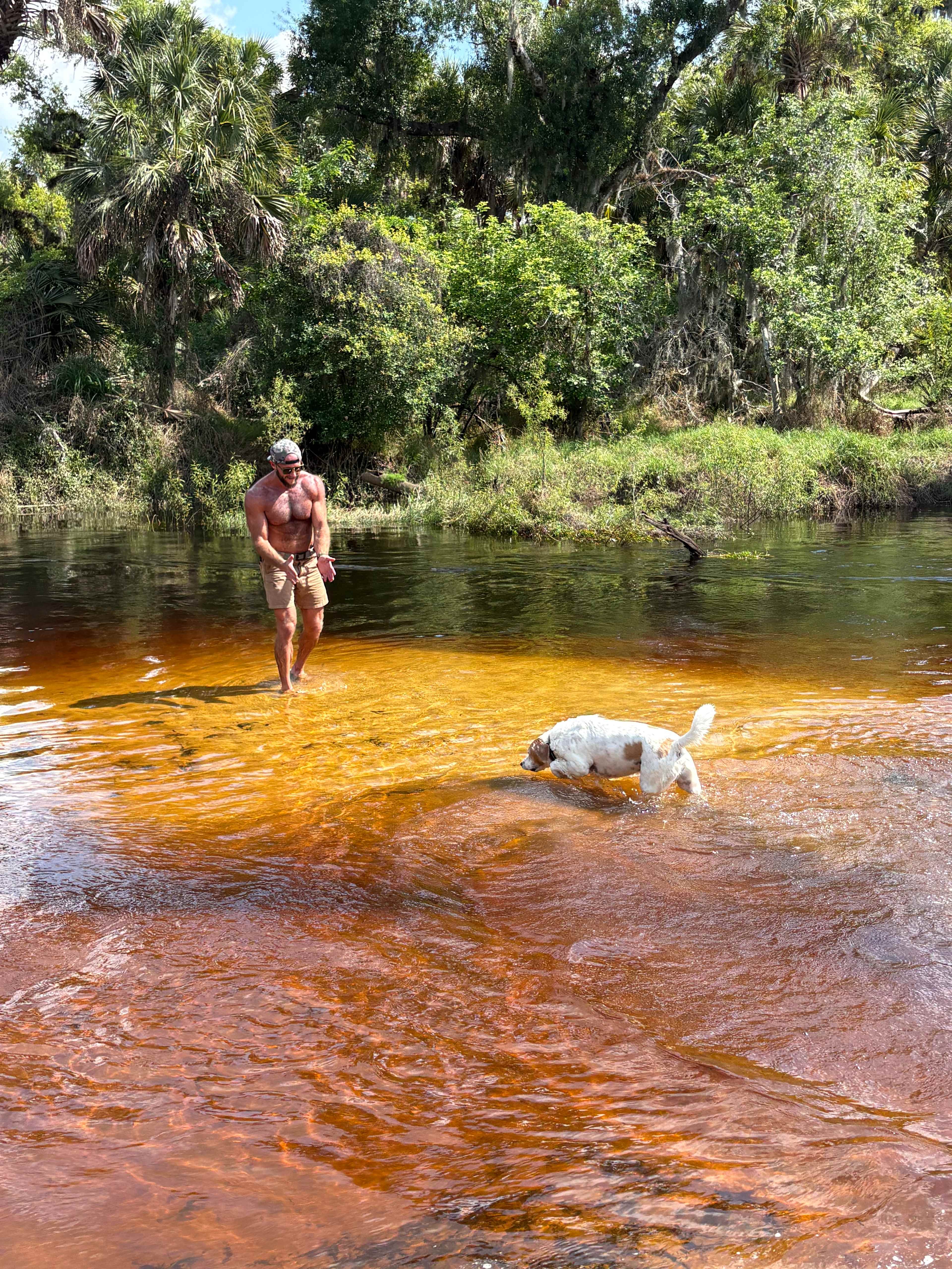 Costa Myakka