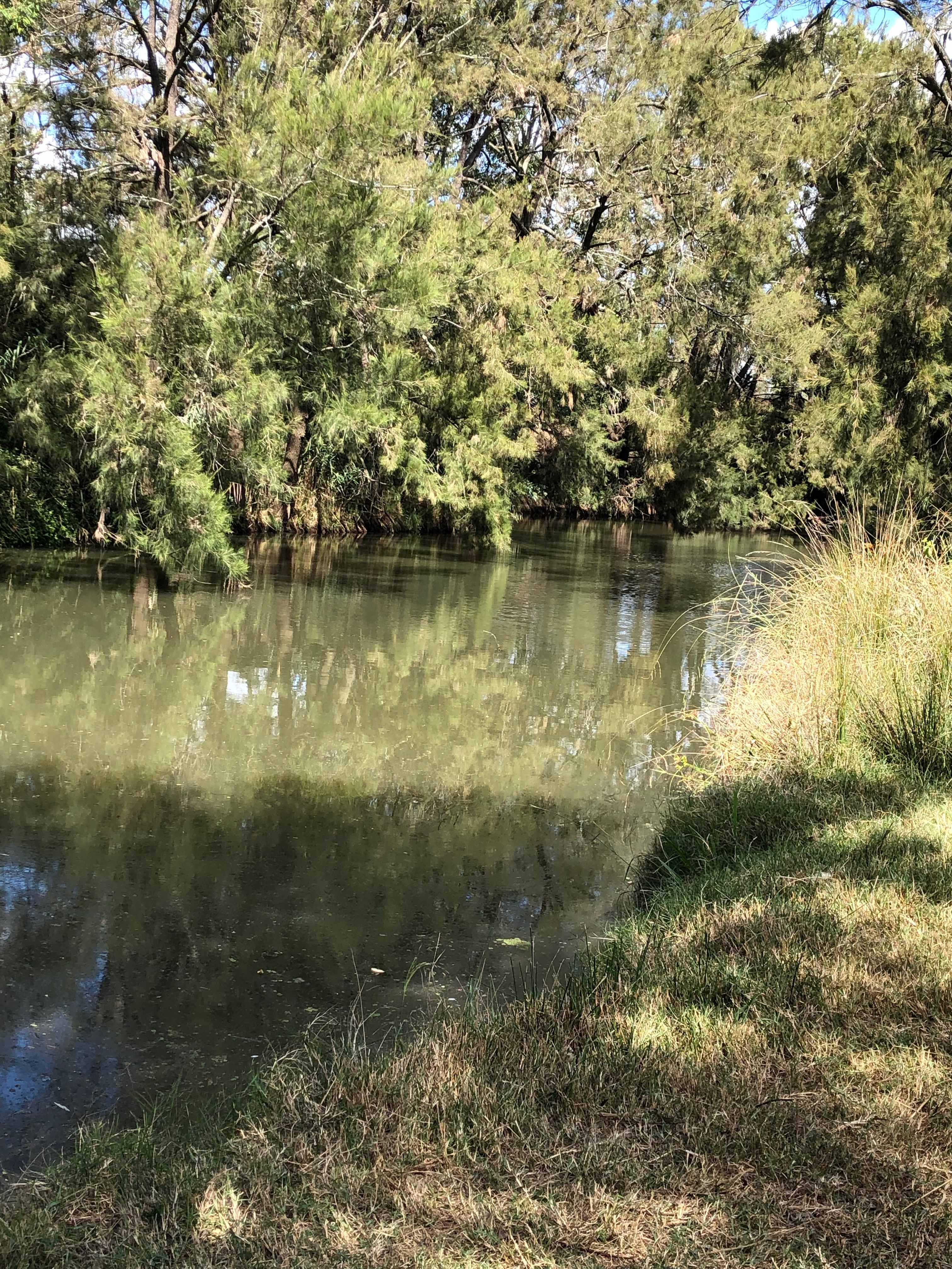 Berrima Camping & Farmstay