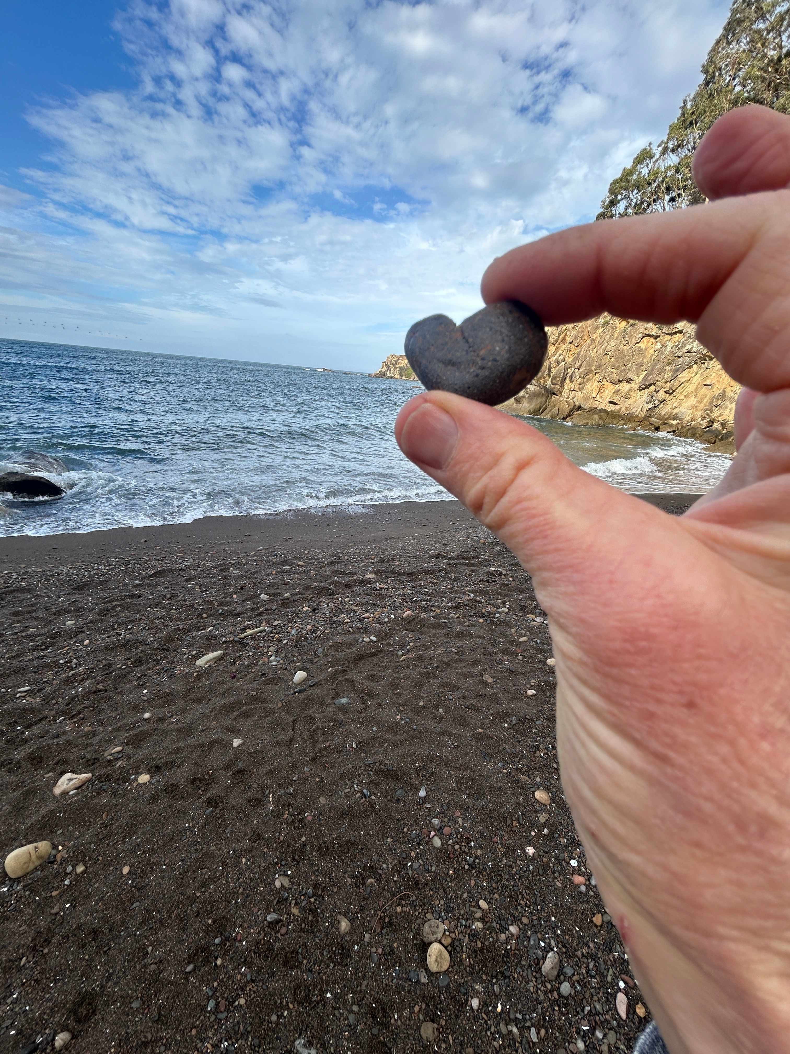 Timber Cove Campground