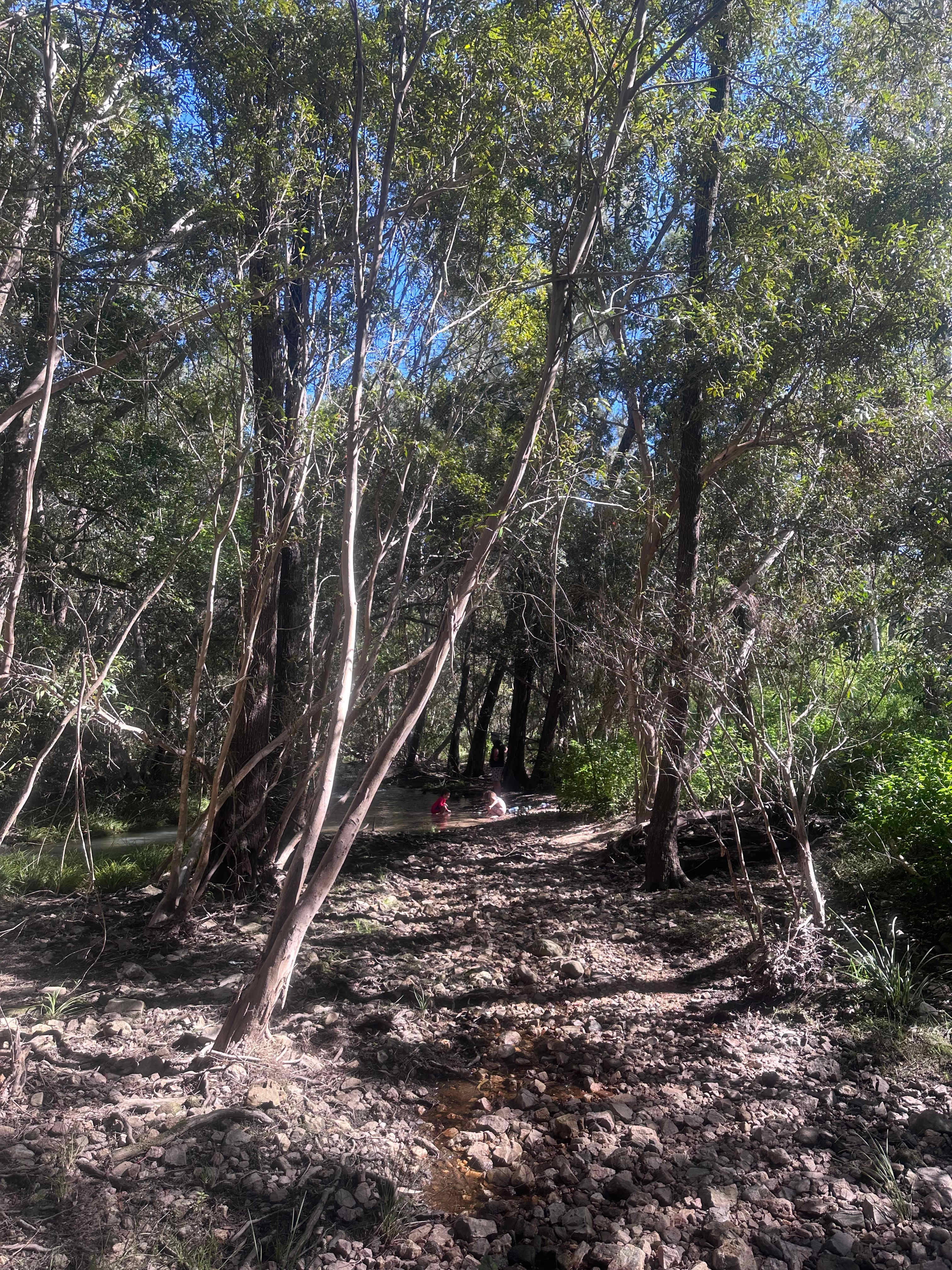 Emerald Escape Camping