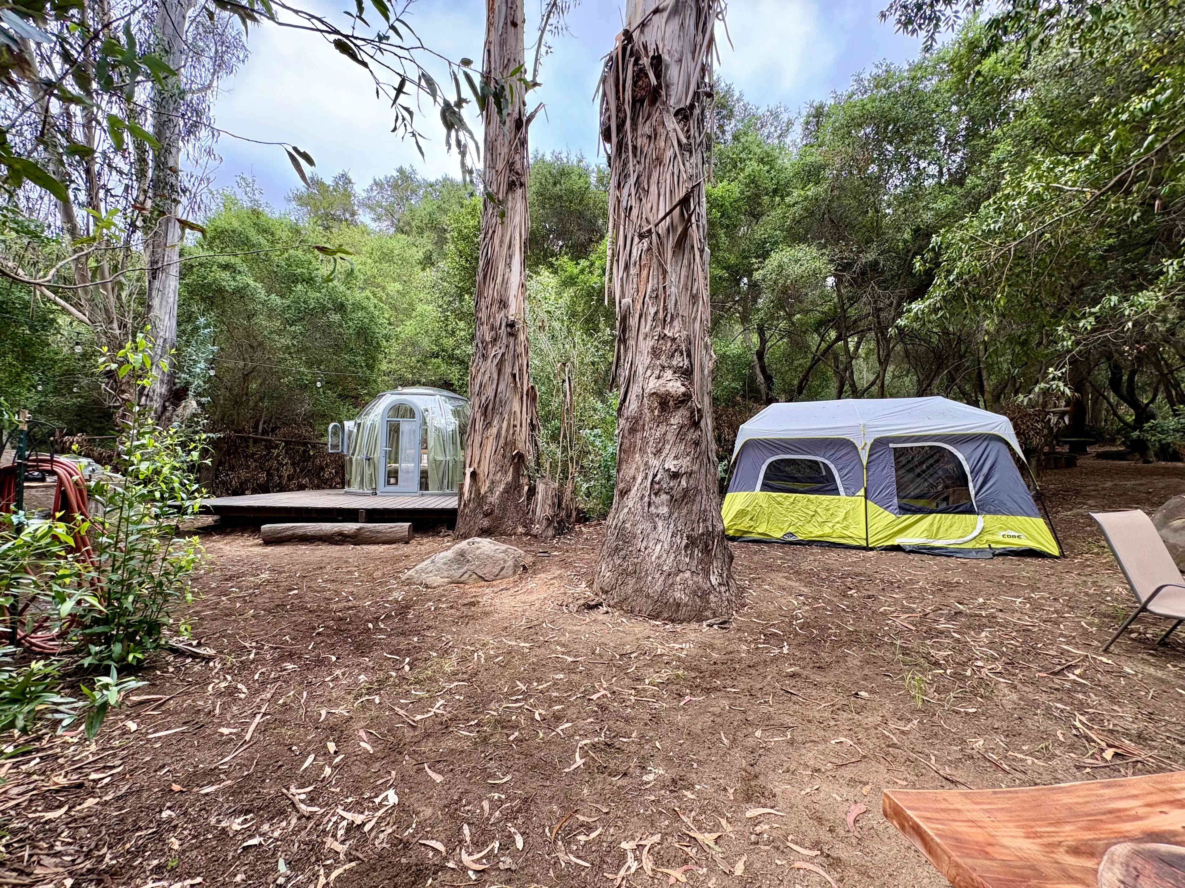 Picture of the site