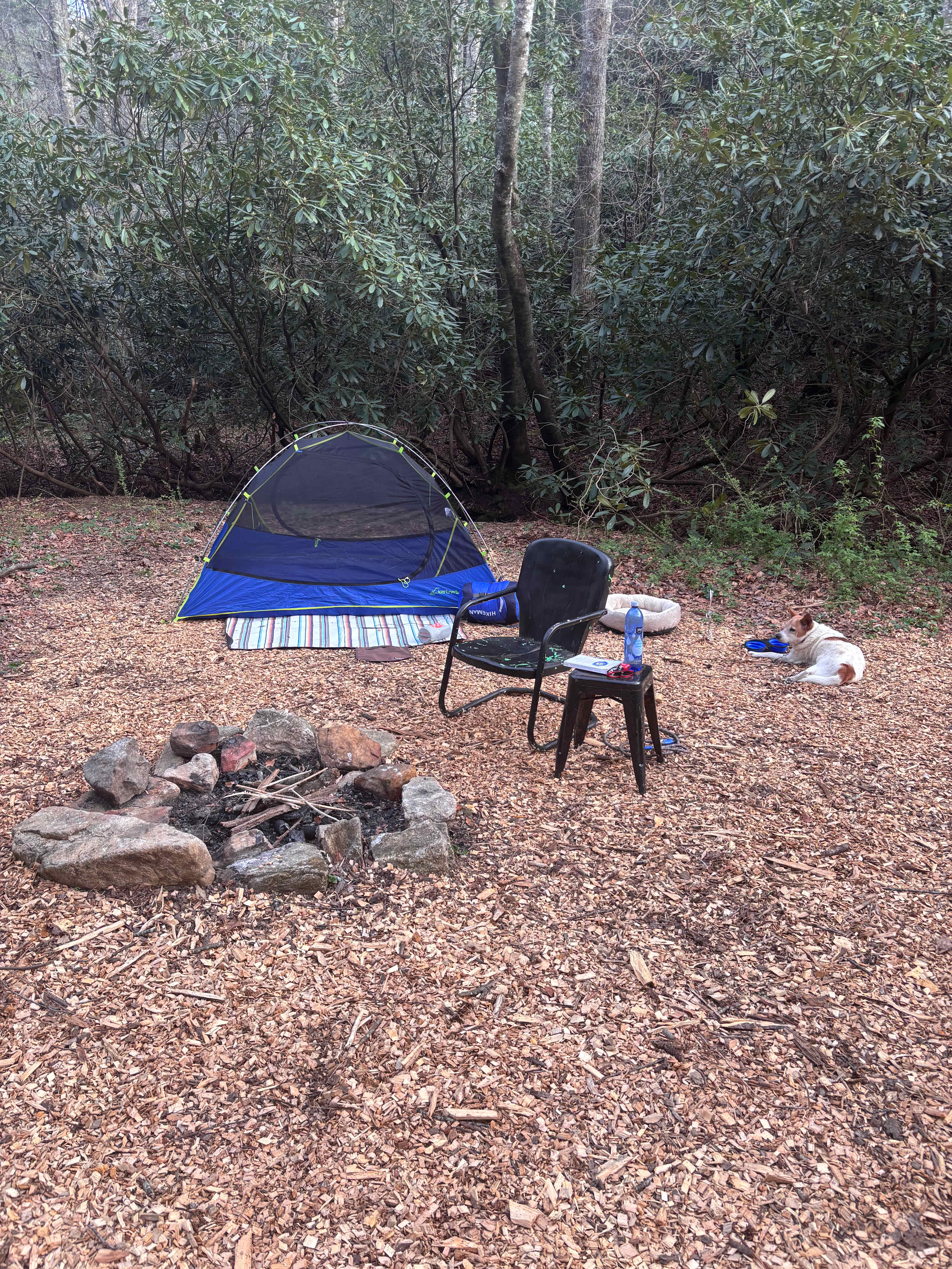 Site #1