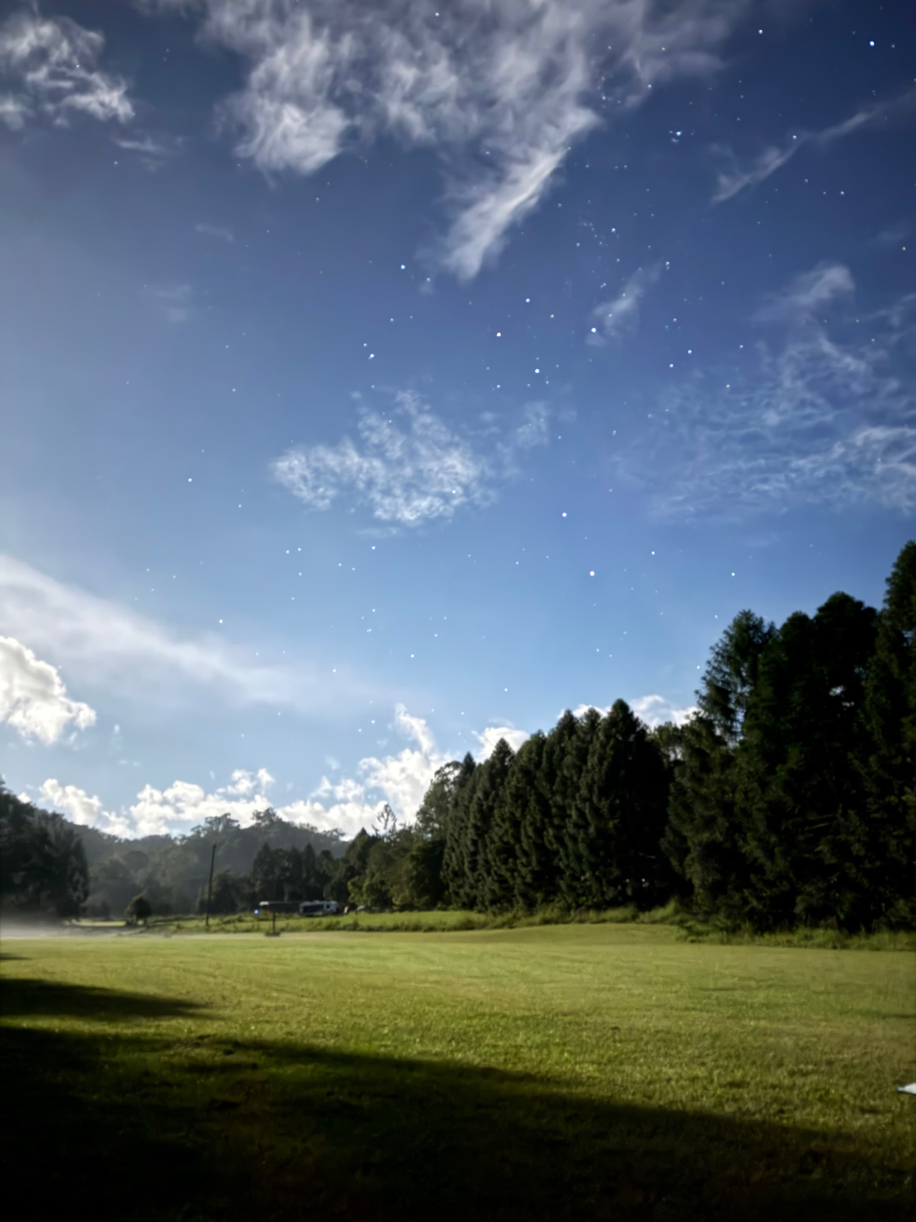 Rowlands Creek Camp Area
