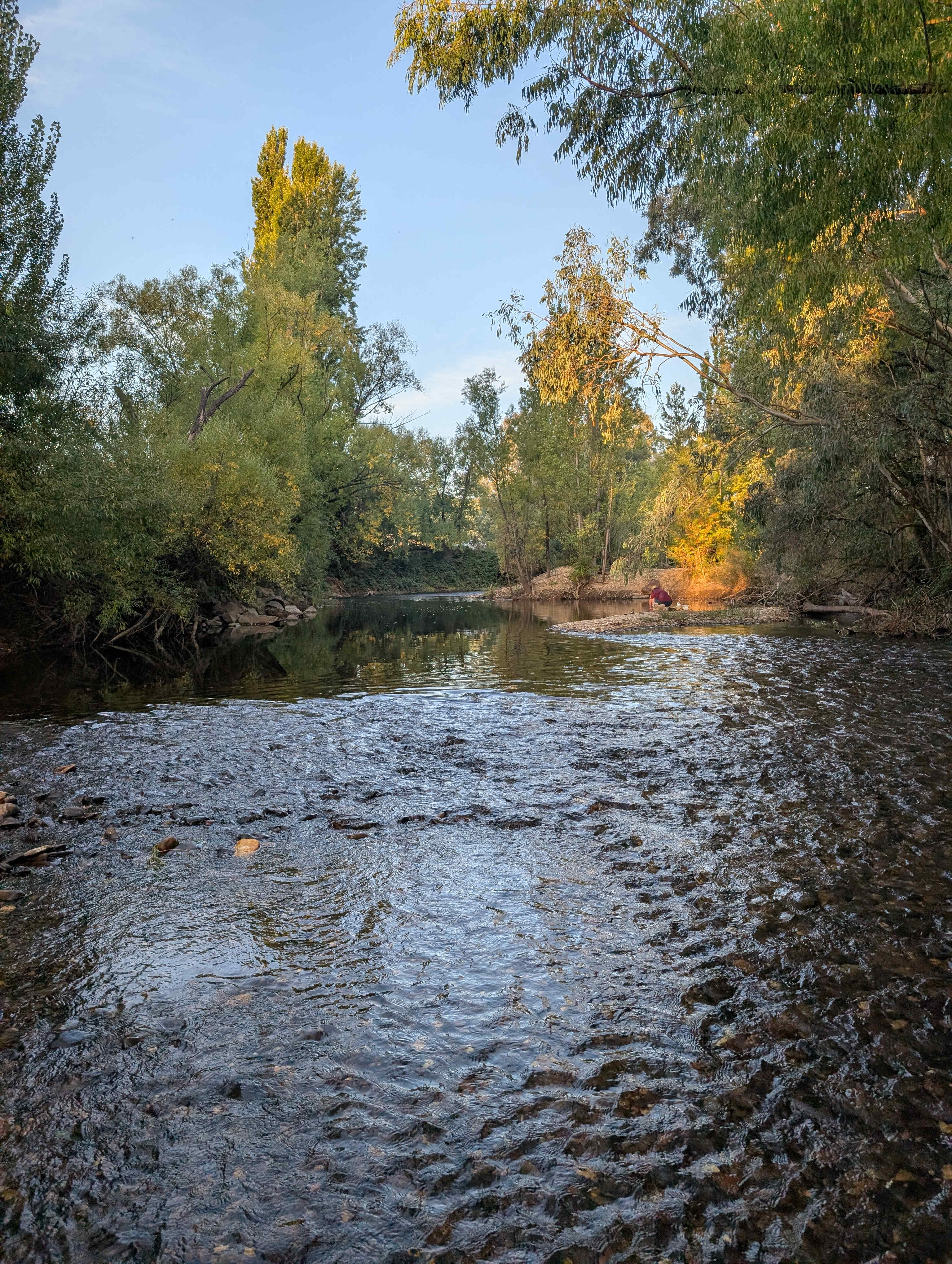 The river 🌊