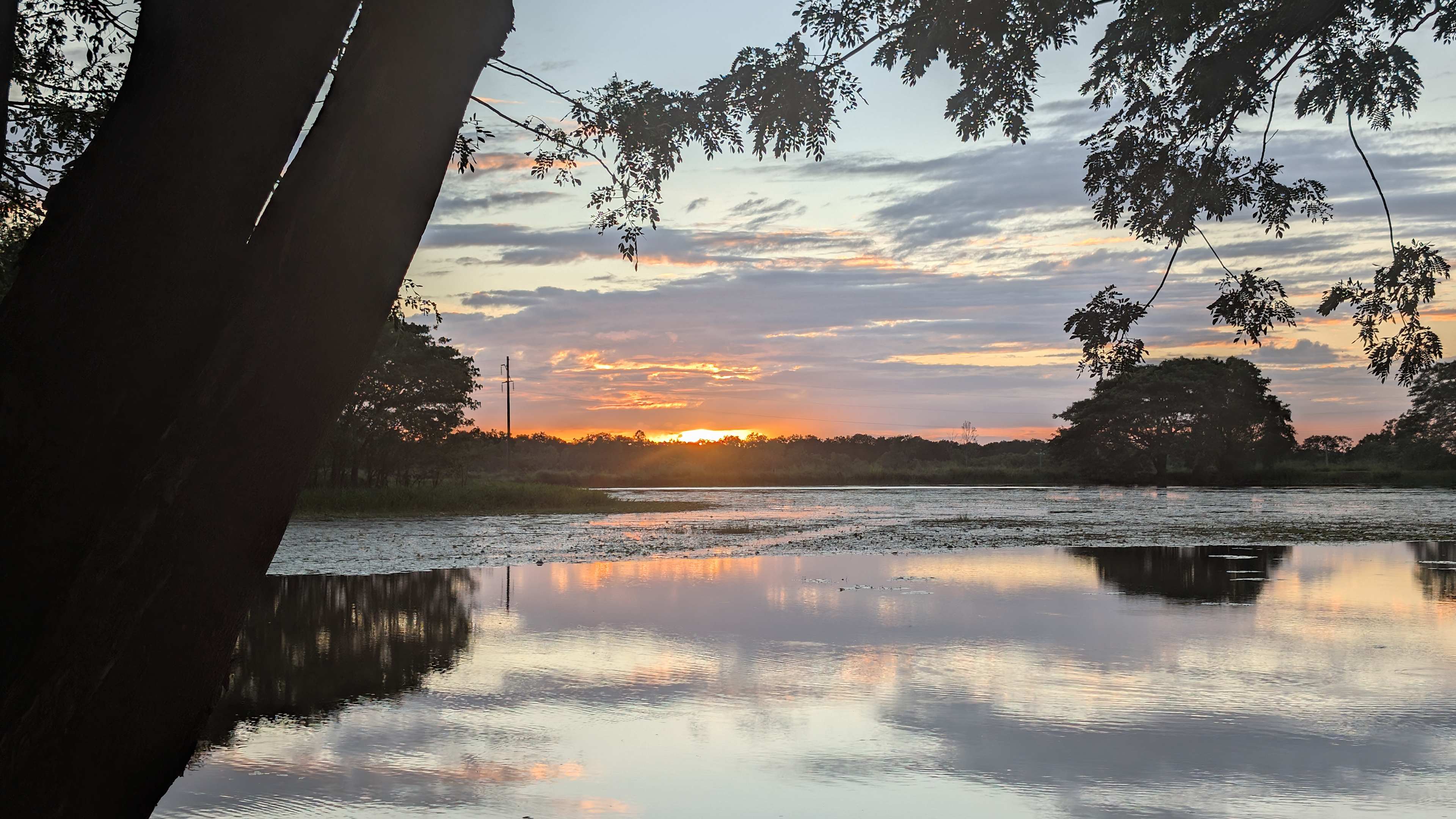 Sunrise