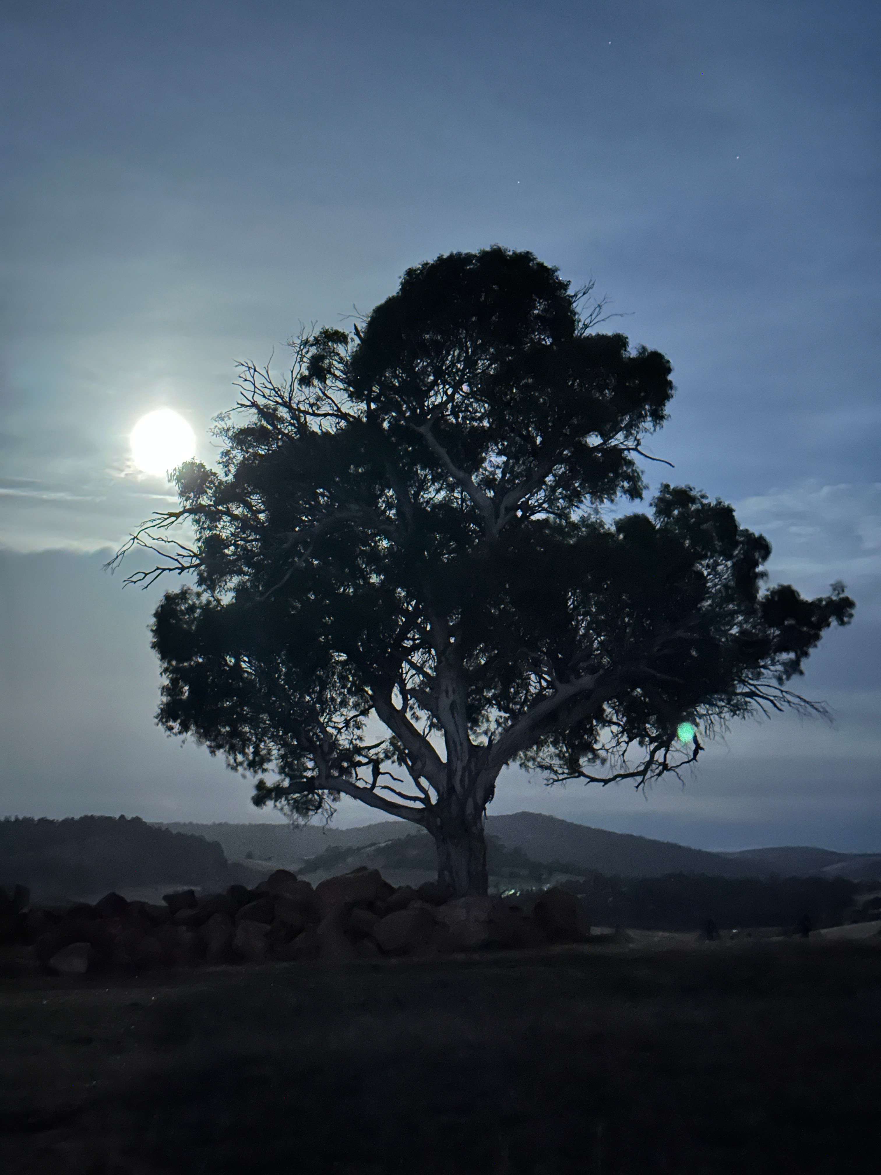 Prossers Ridge Richmond