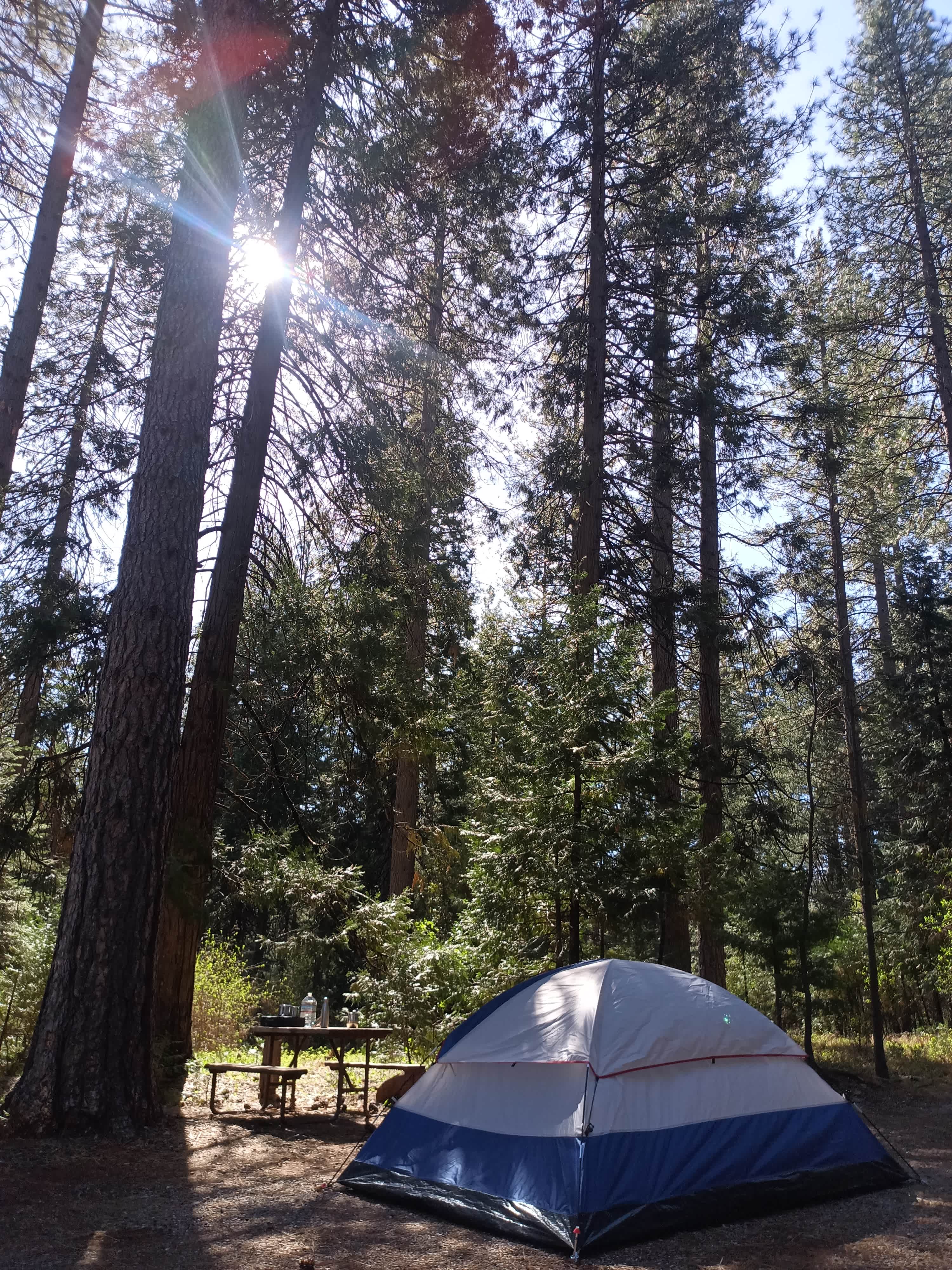 Bigfoot Lodging Vacation Rentals