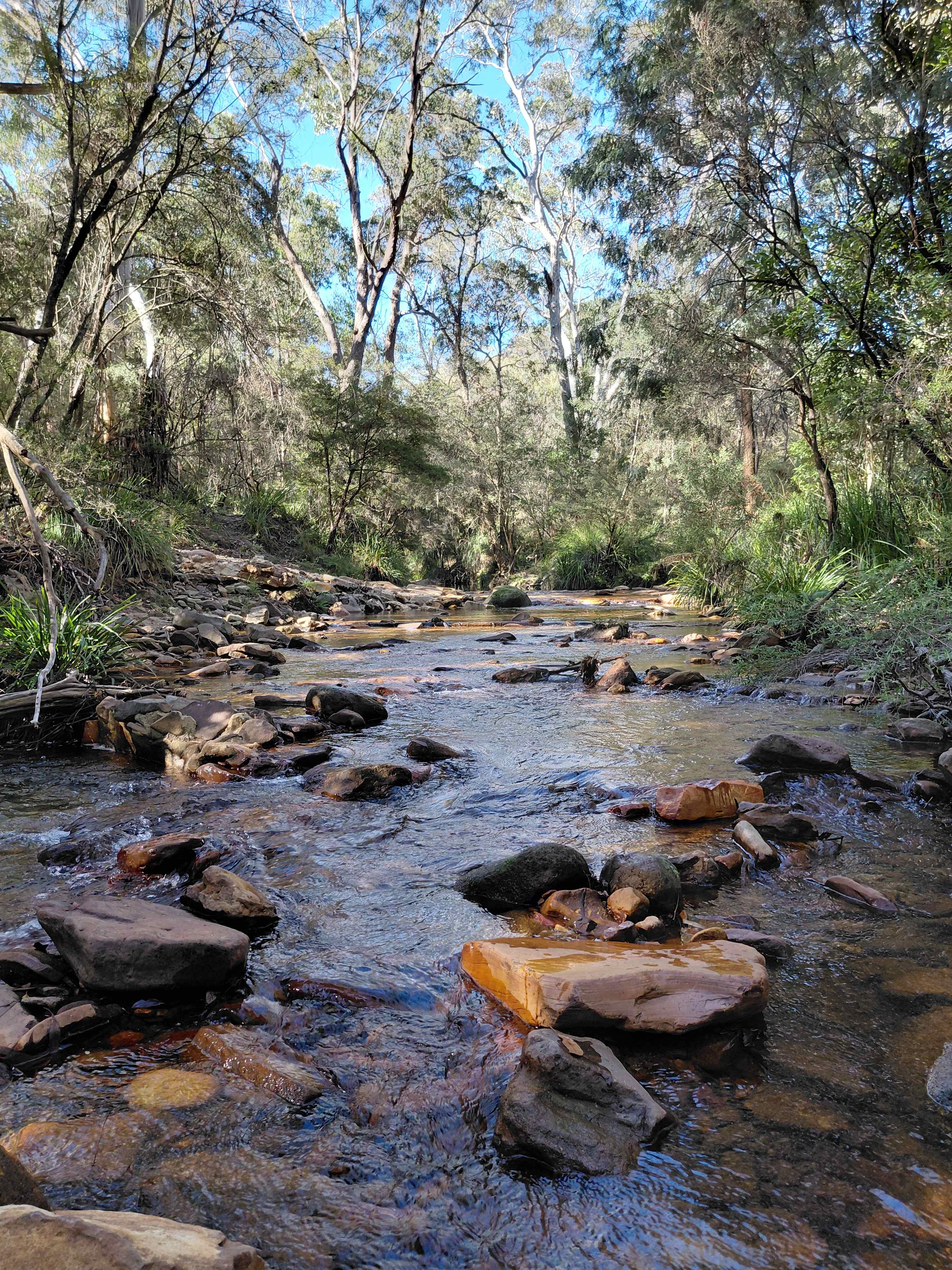 Nearby creek