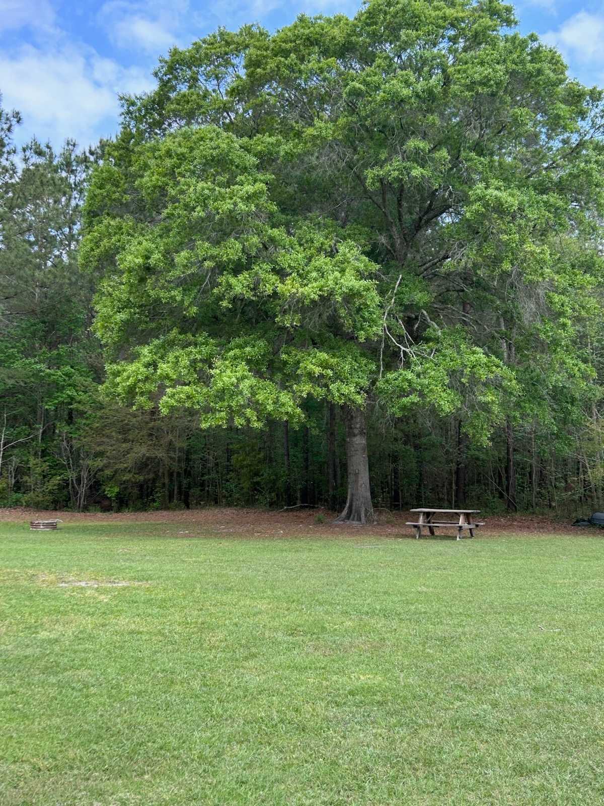 River Island Venture Resort