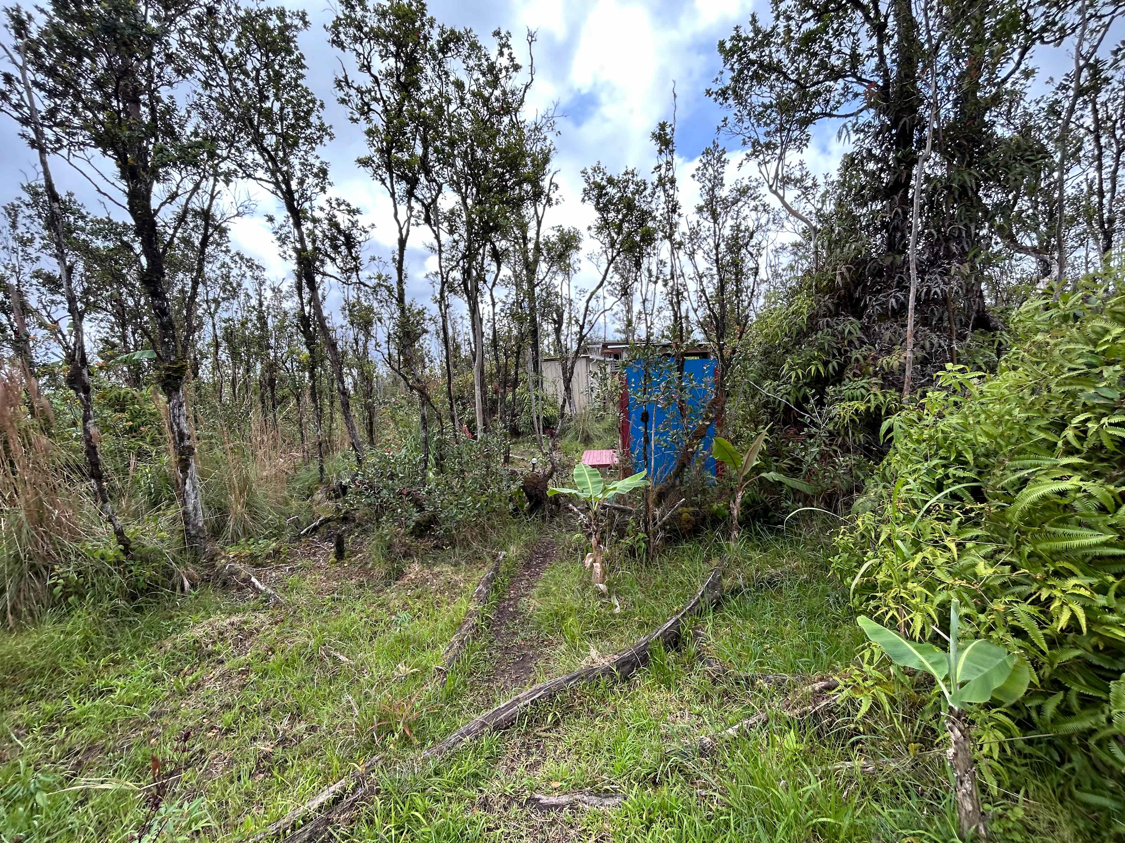 Sacred Mauna Fern Forest Retreat