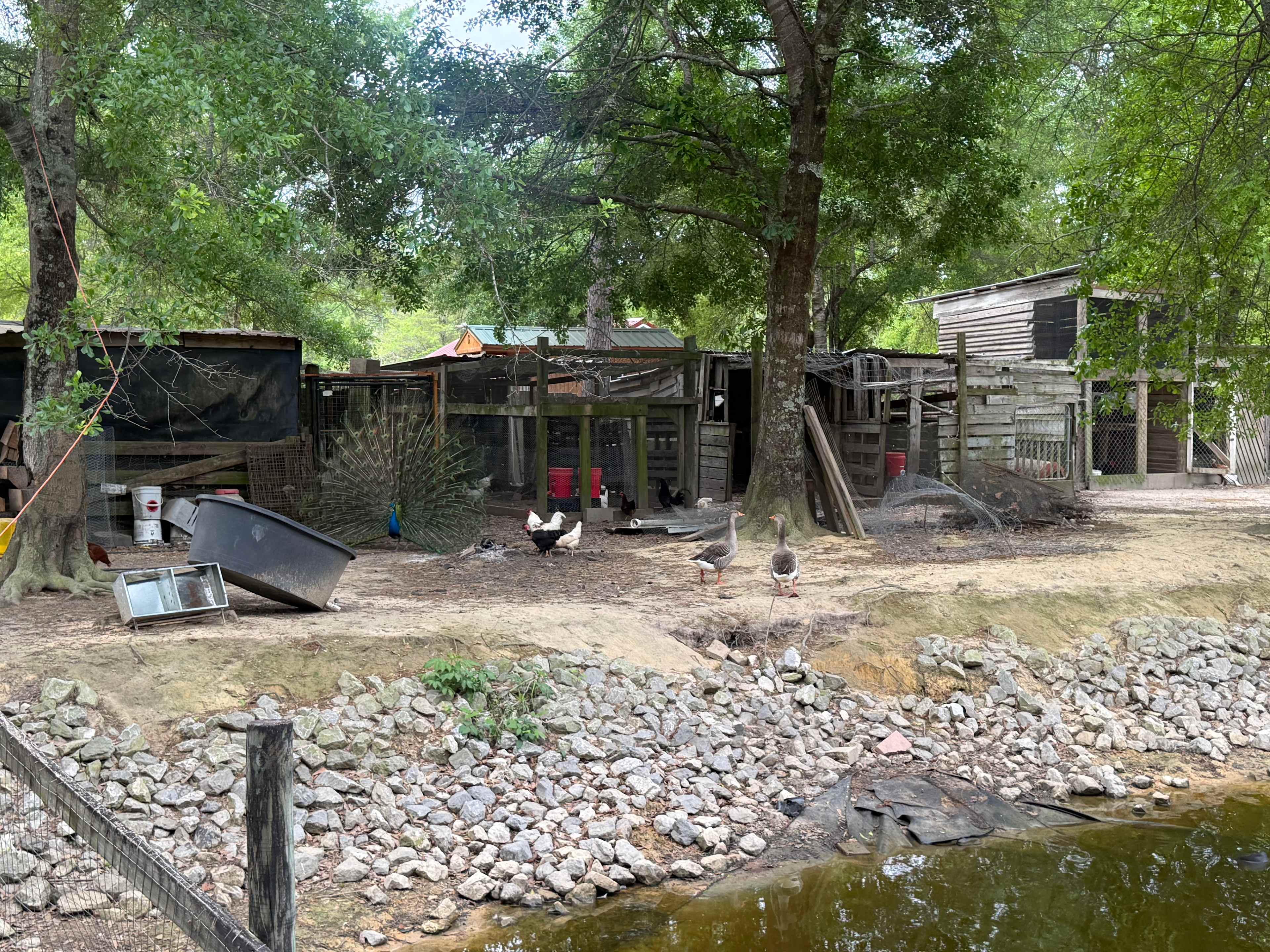 Creekside Farm Co.
