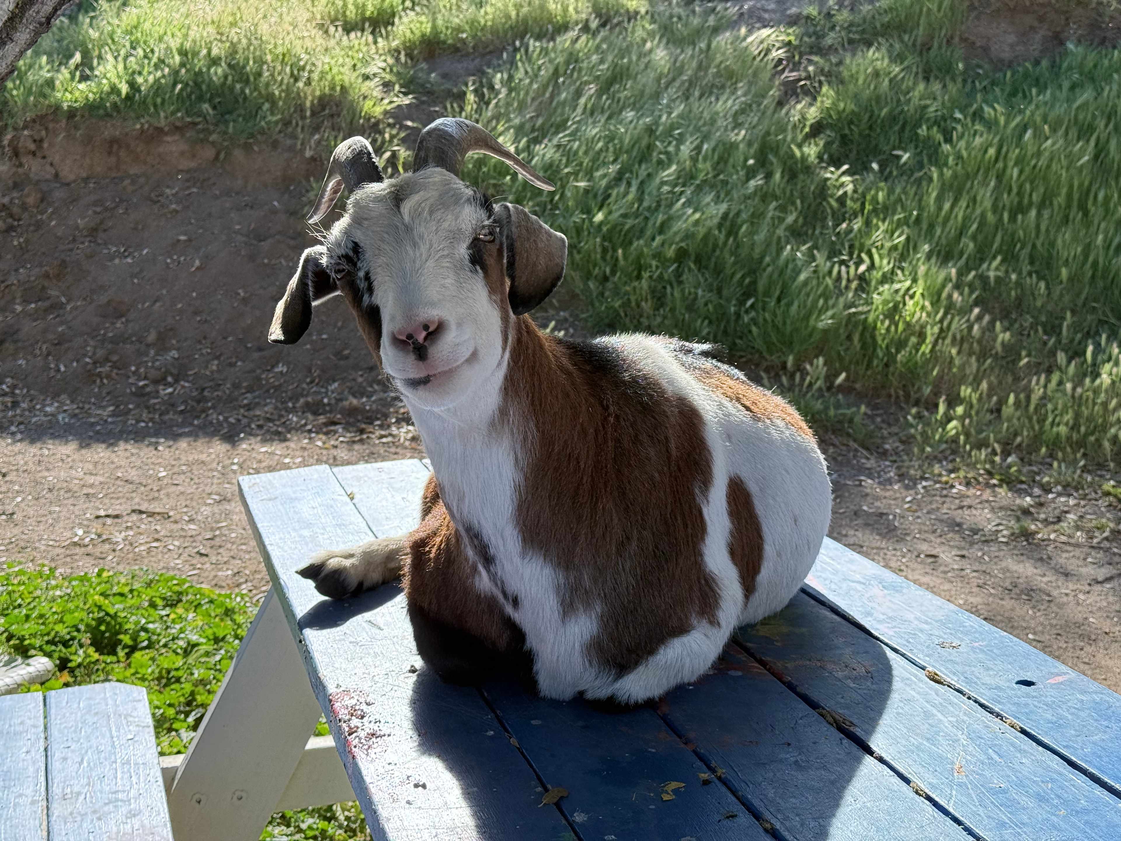 Loomerland Ranch and Retreat