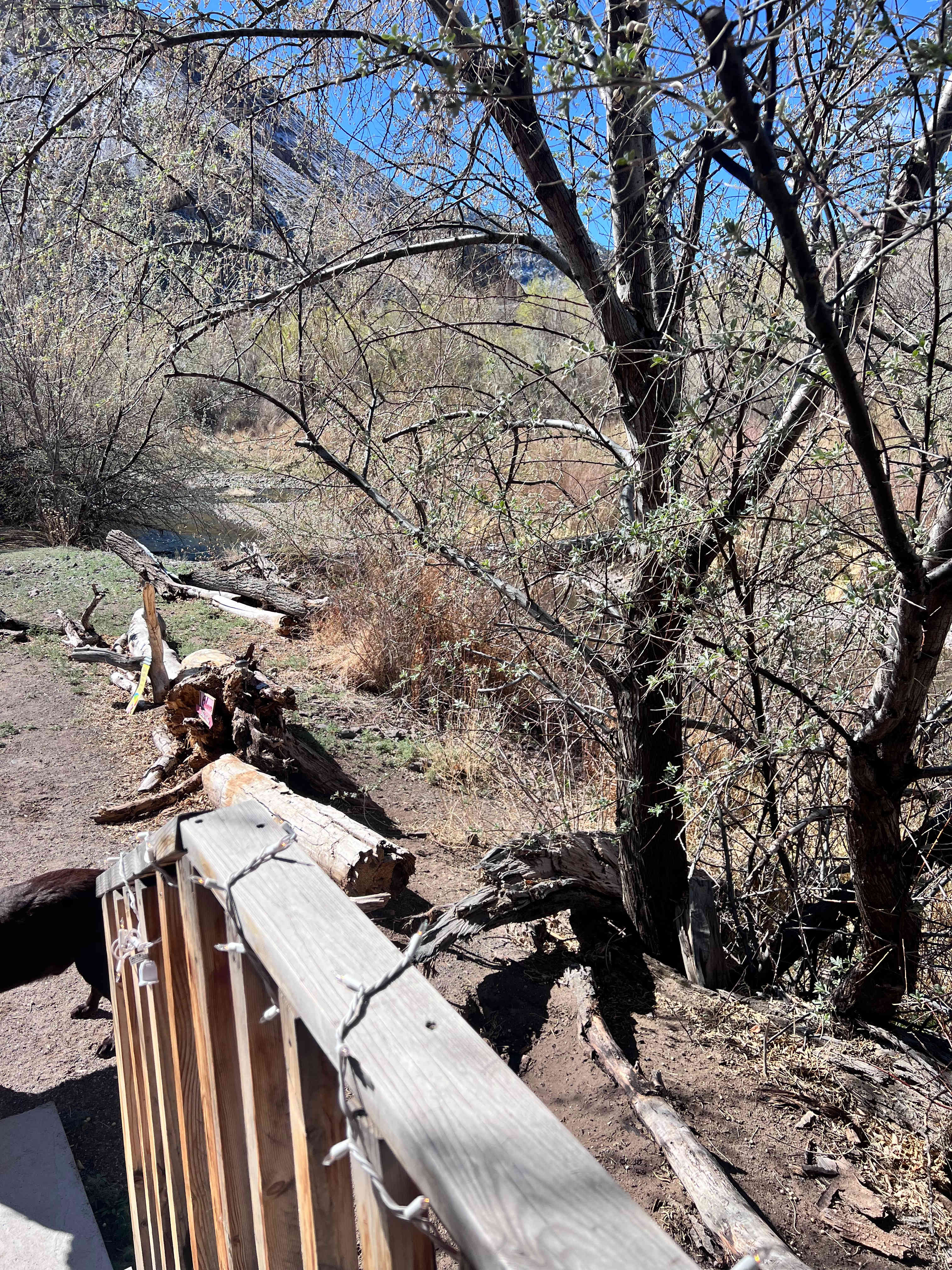 Sevier River RV Park/Themed Cabins