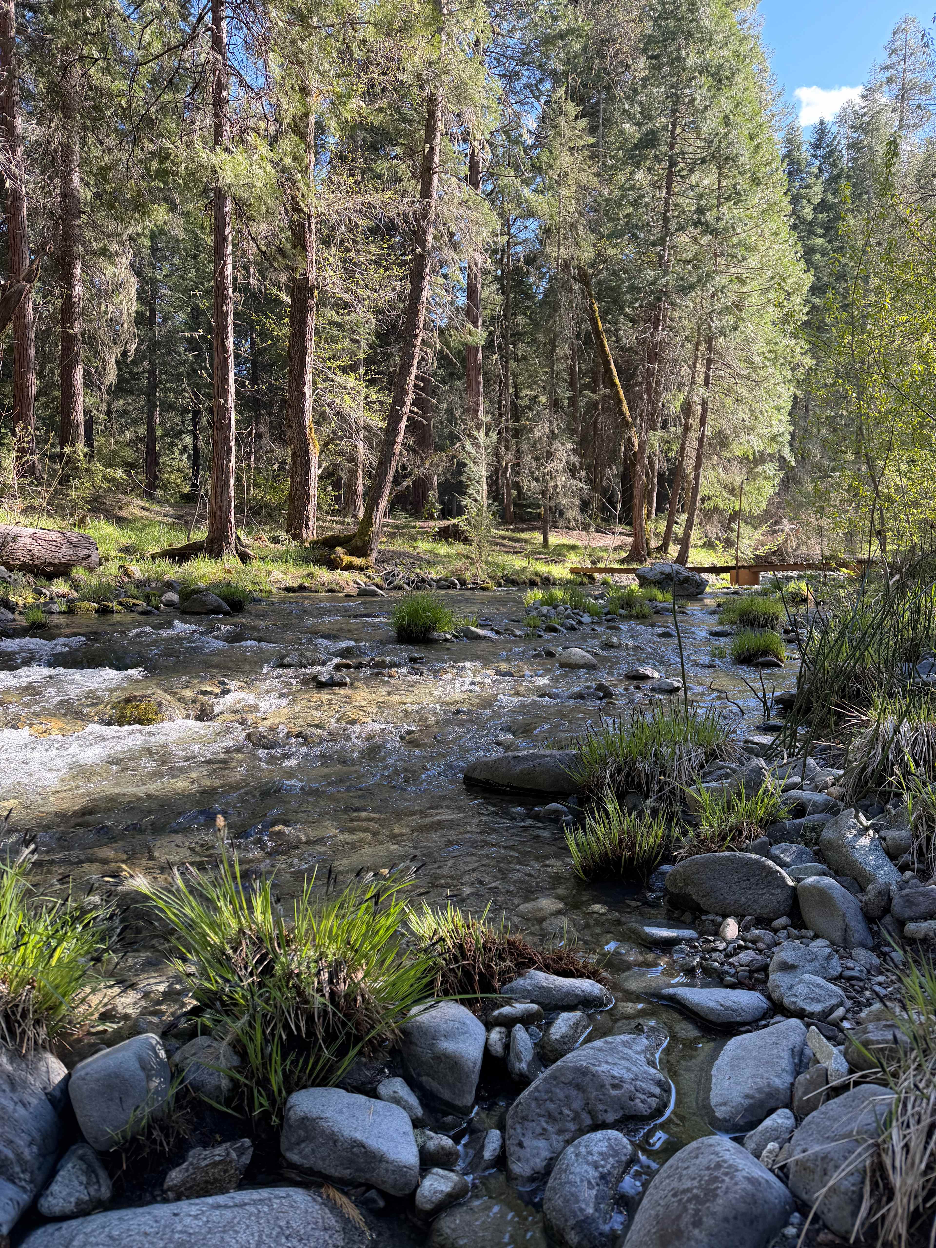 Trinity Outpost Wilderness Resort